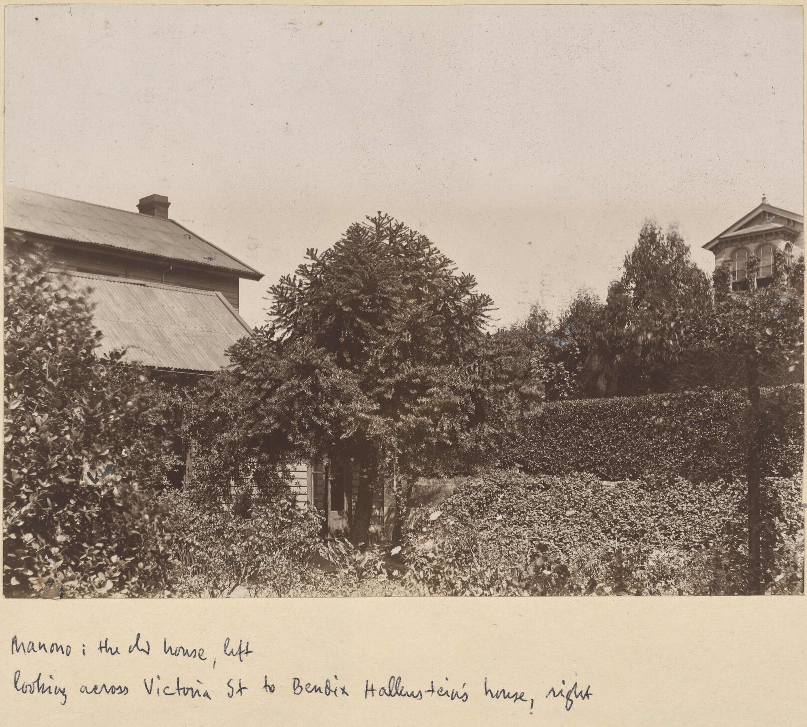 Manono and Bendix Hallenstein's house