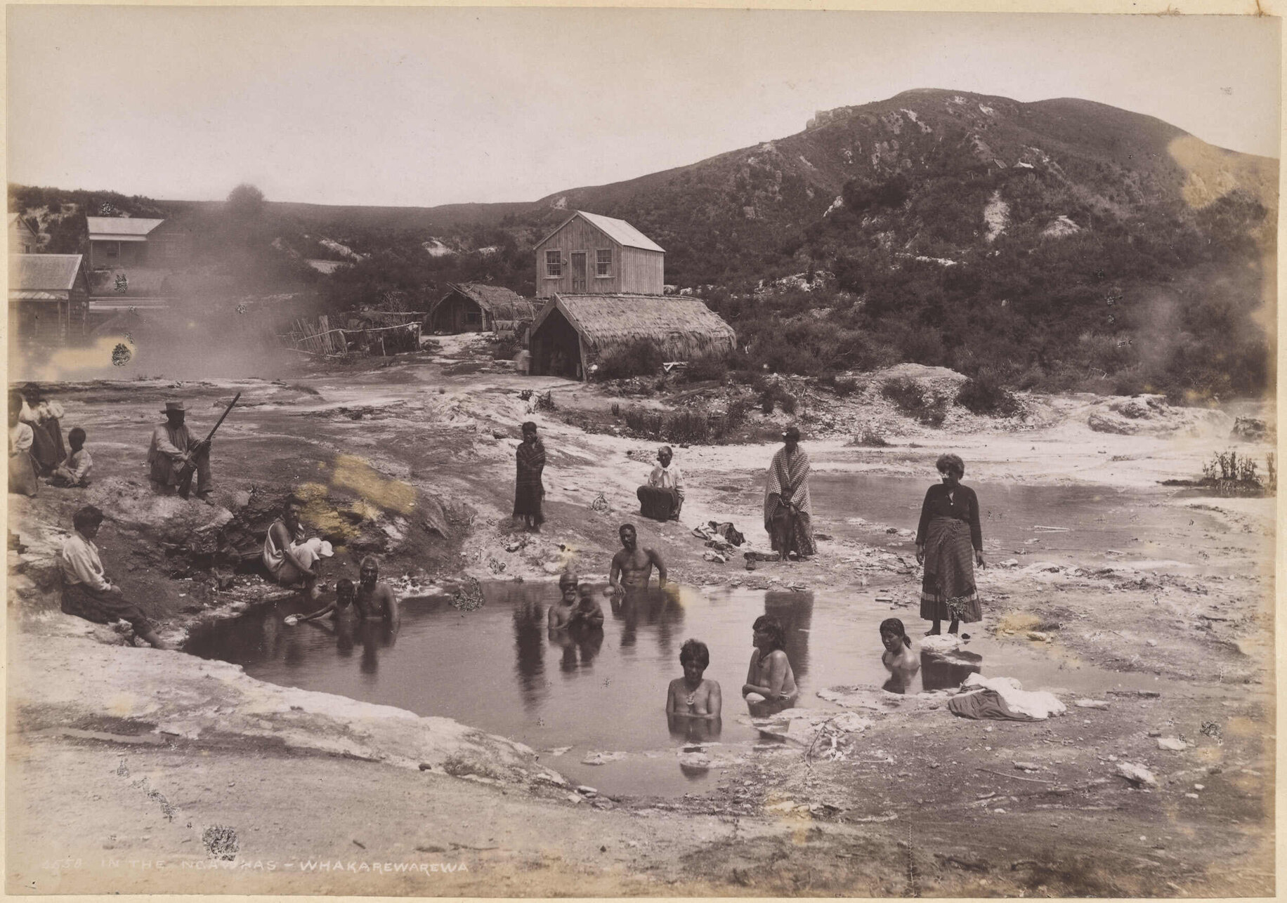 In the Ngāwhas, Whakarewarewa