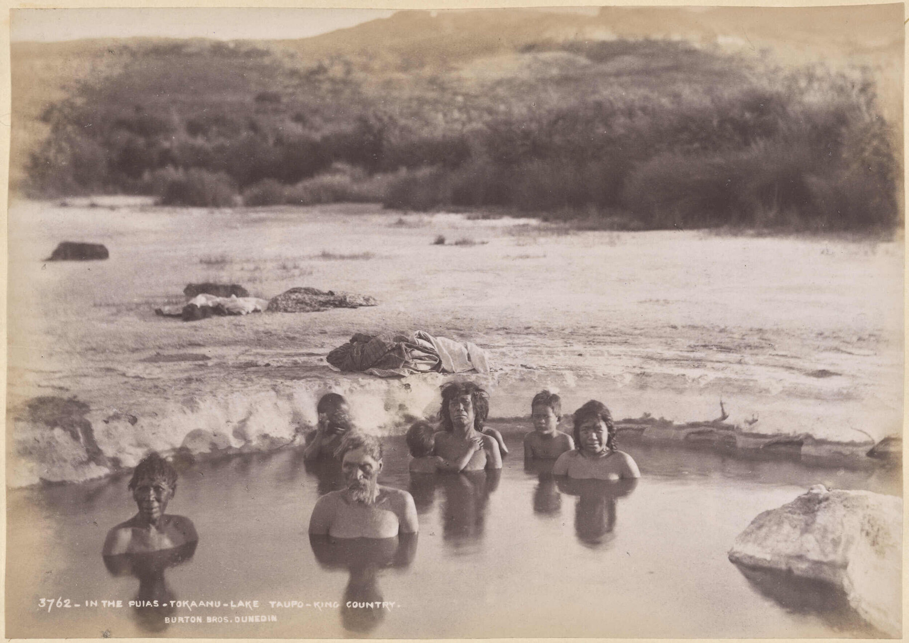 In the Puias, Tokaanu, Lake Taupo, King Country