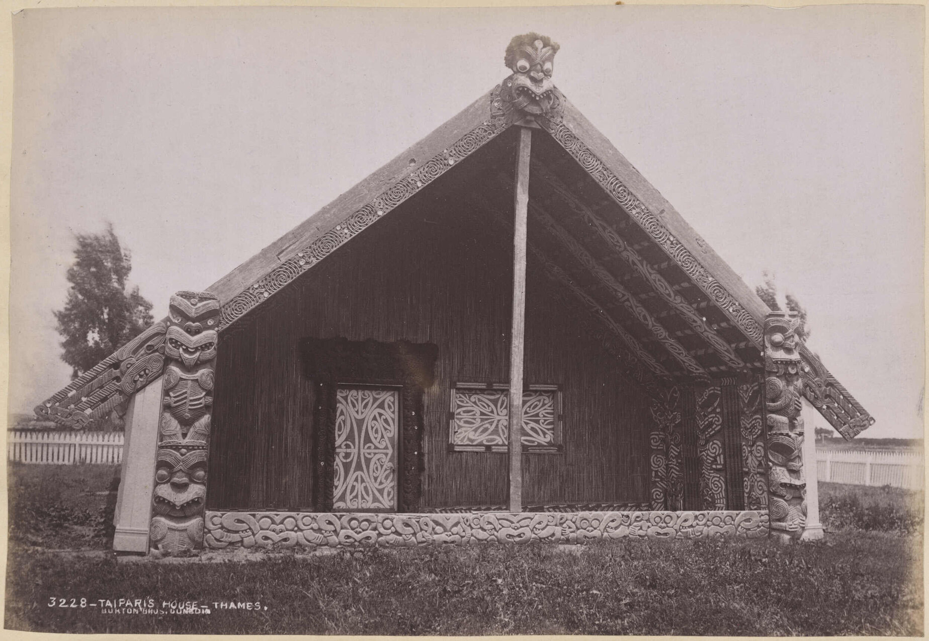 Taipari's House, Thames