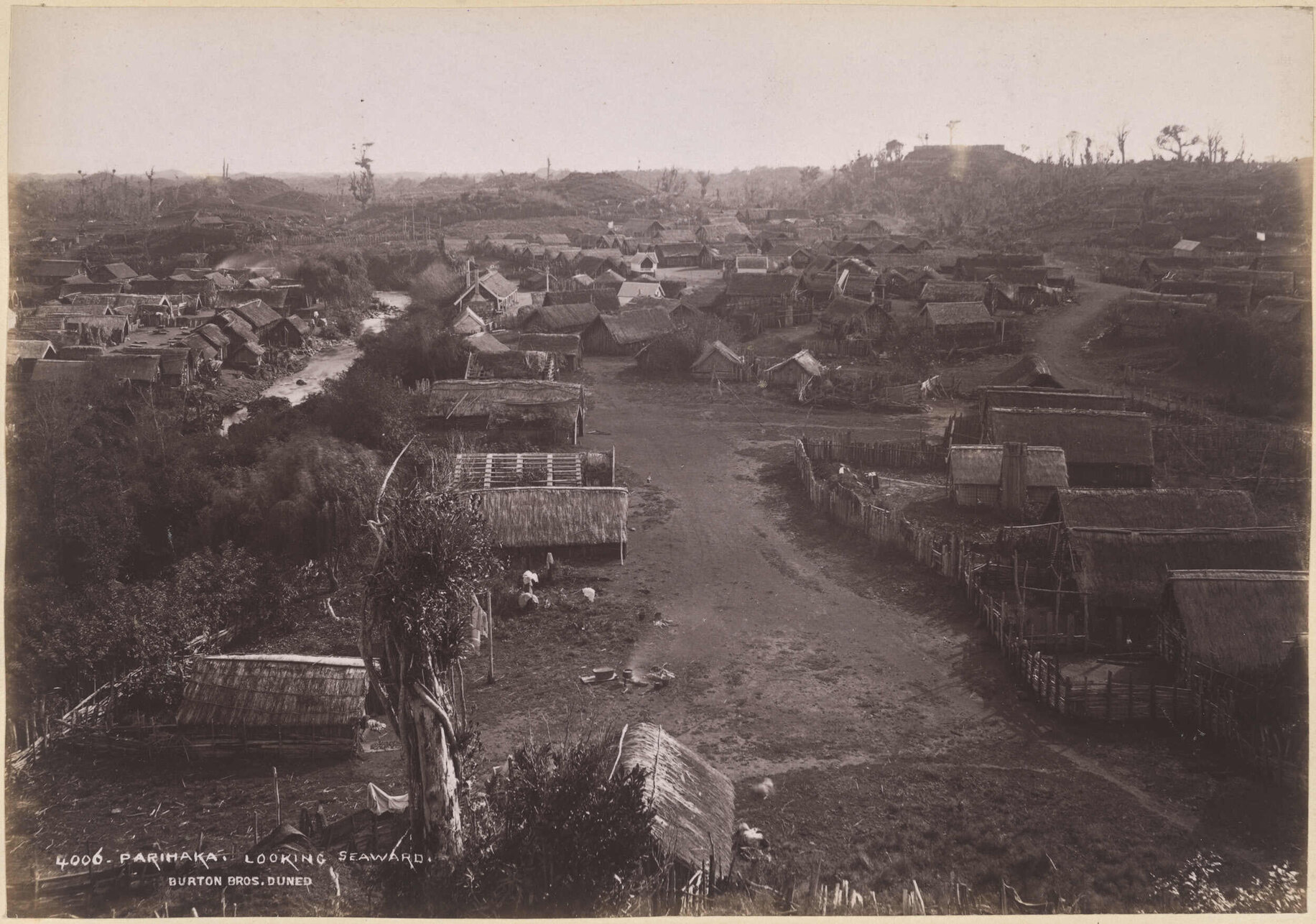 Parihaka, looking seaward