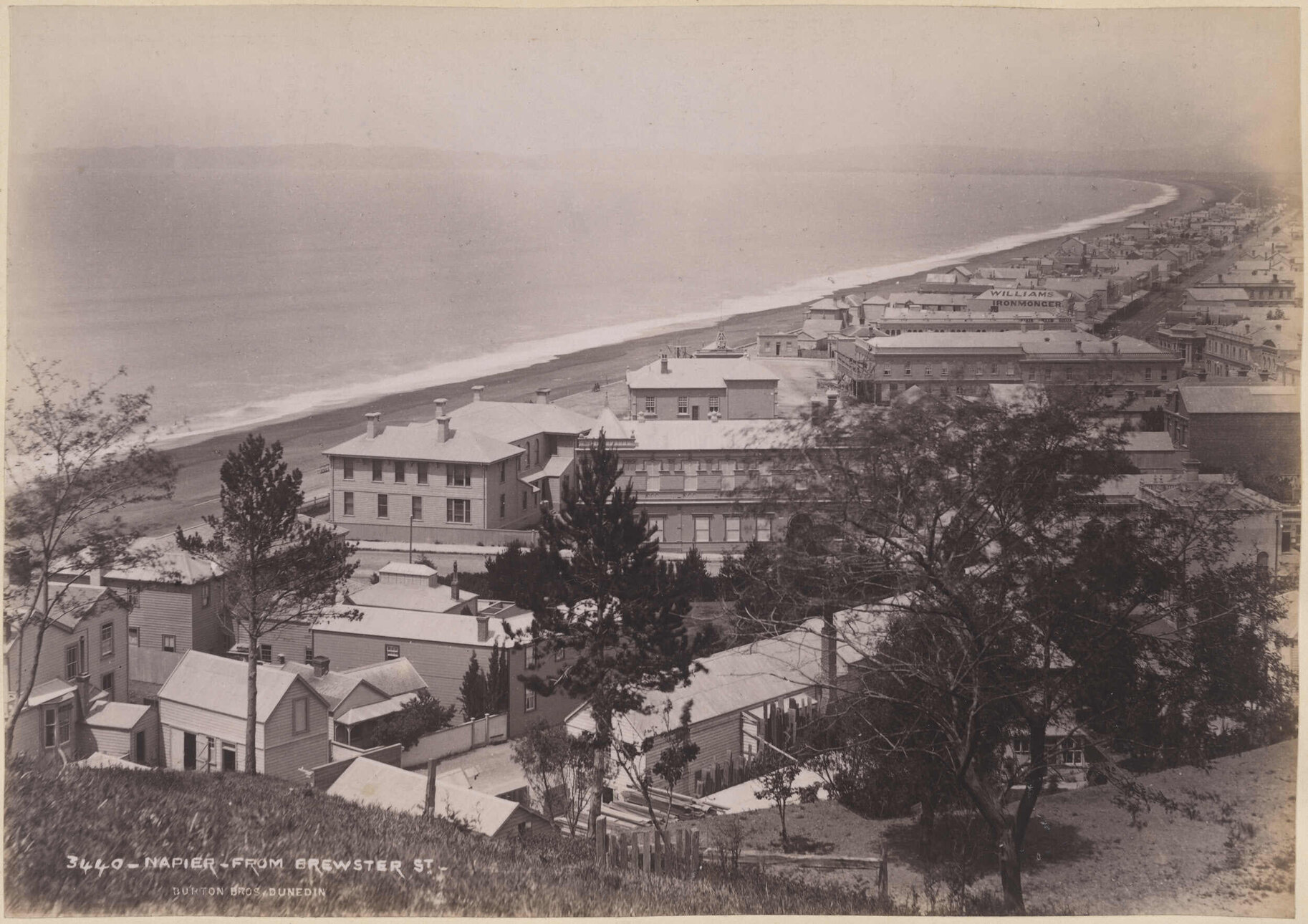 Napier, from Brewster St