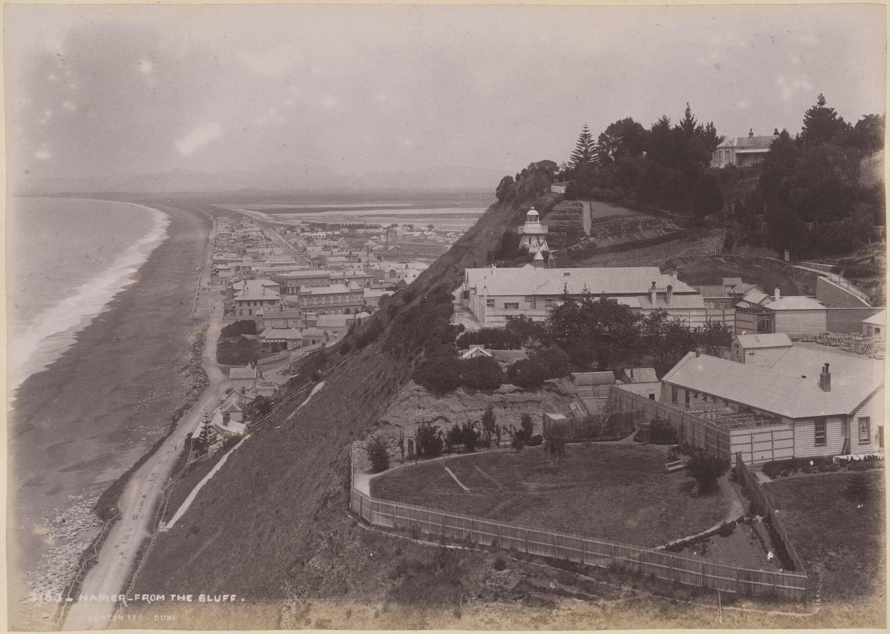 Napier, from the Bluff