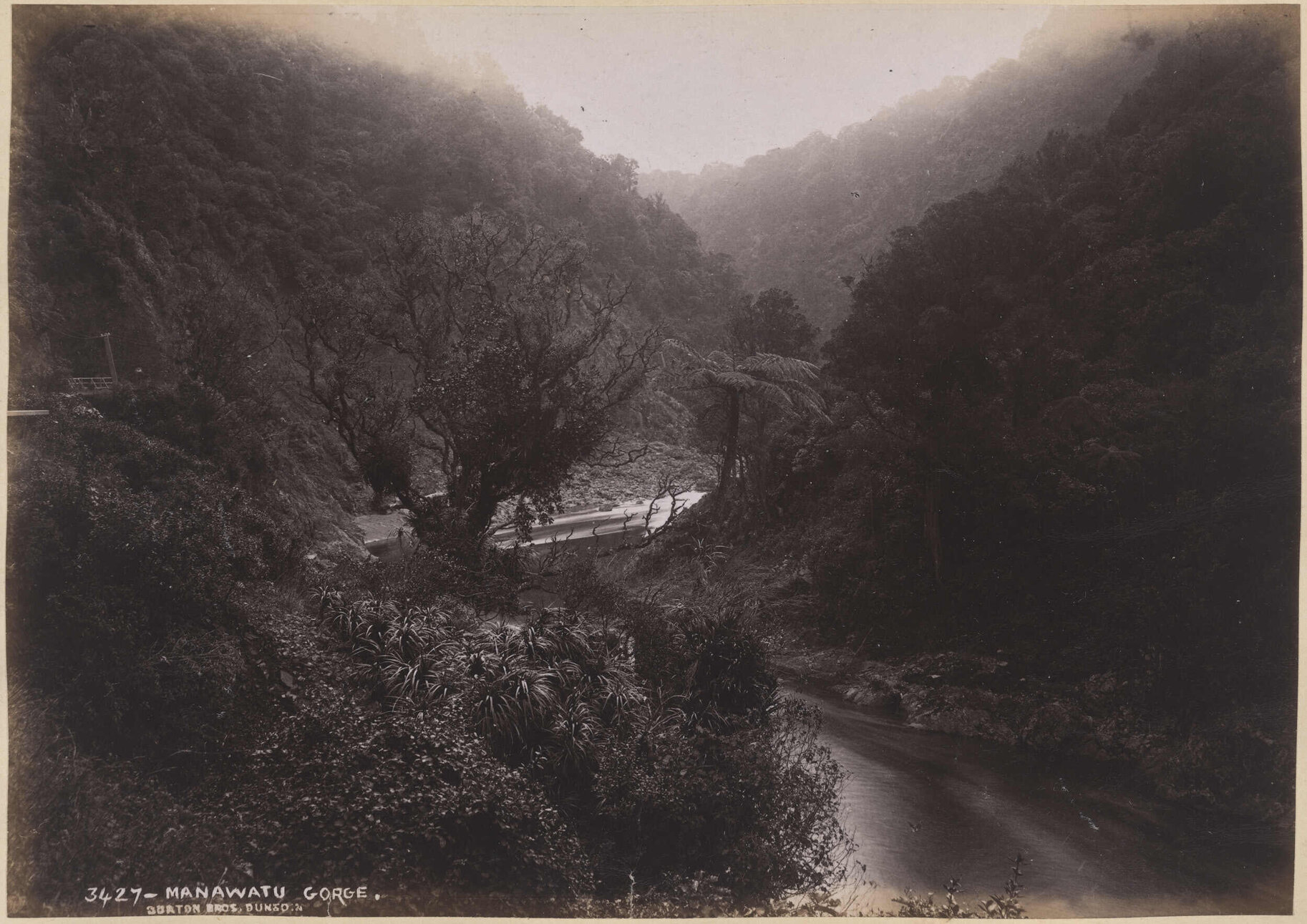 Manawatu Gorge