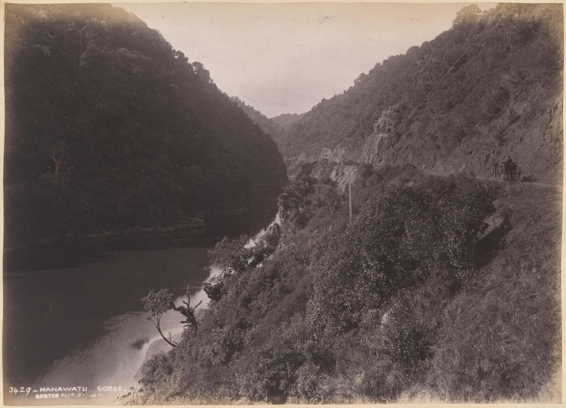 Manawatu Gorge