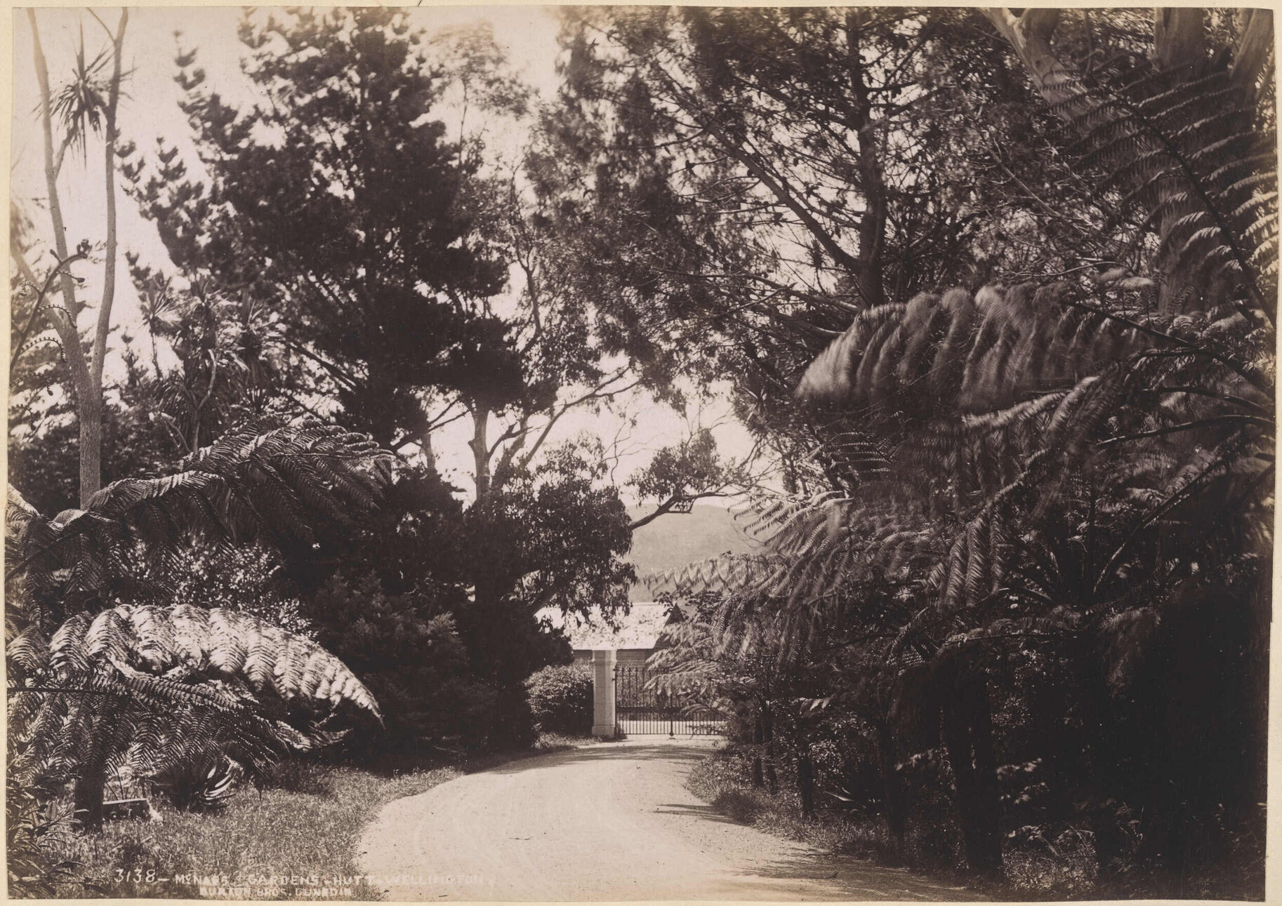 McNab's Gardens, Hutt, Wellington