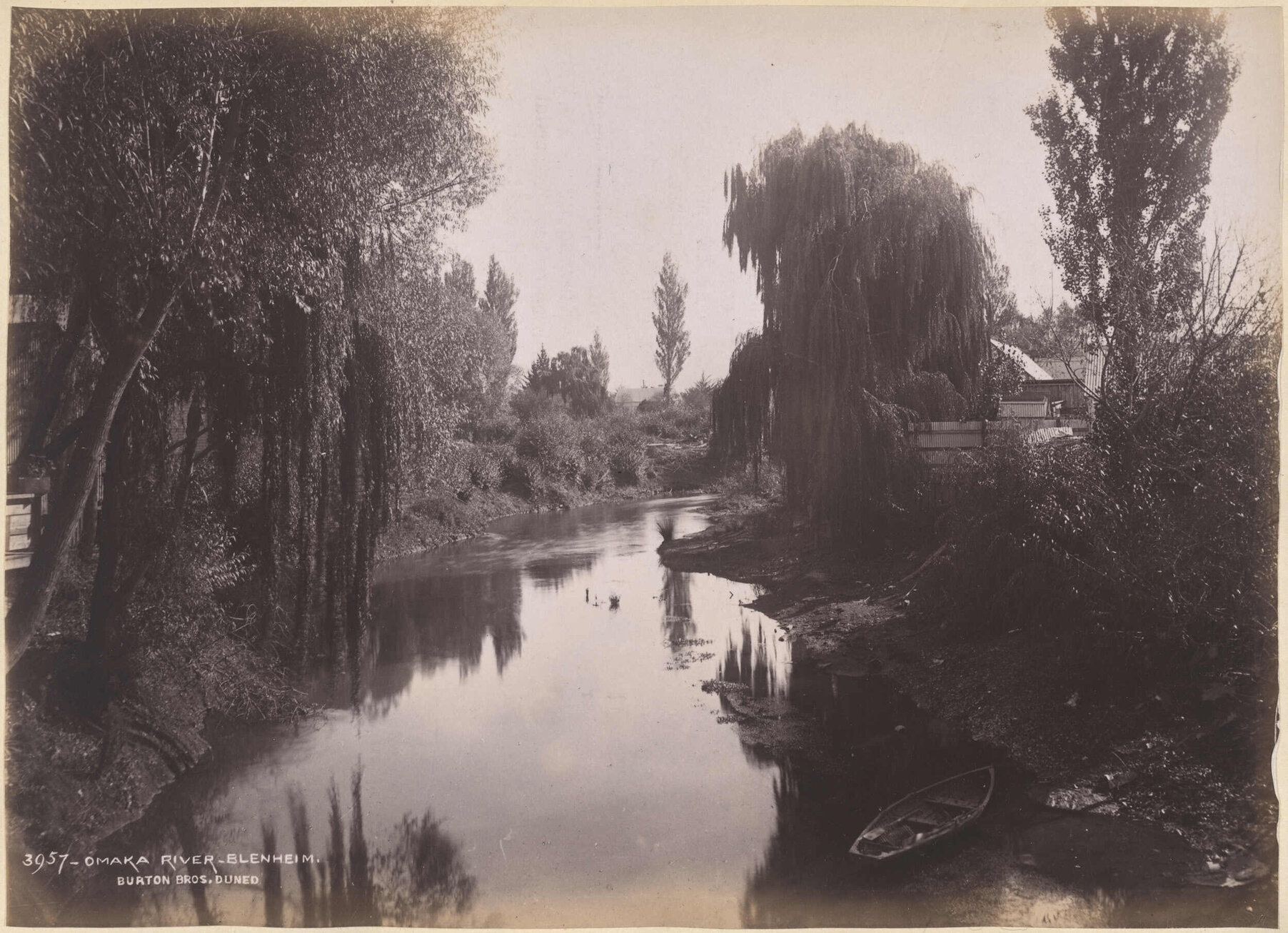 Omaka River, Blenheim