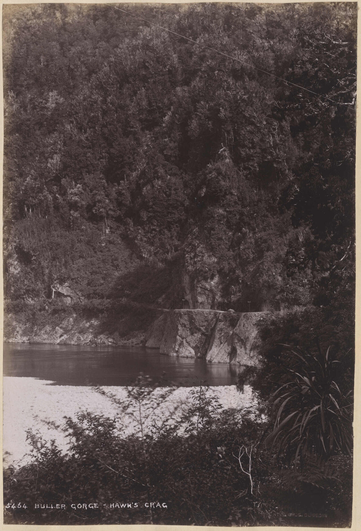 Buller Gorge, Hawk's Crag