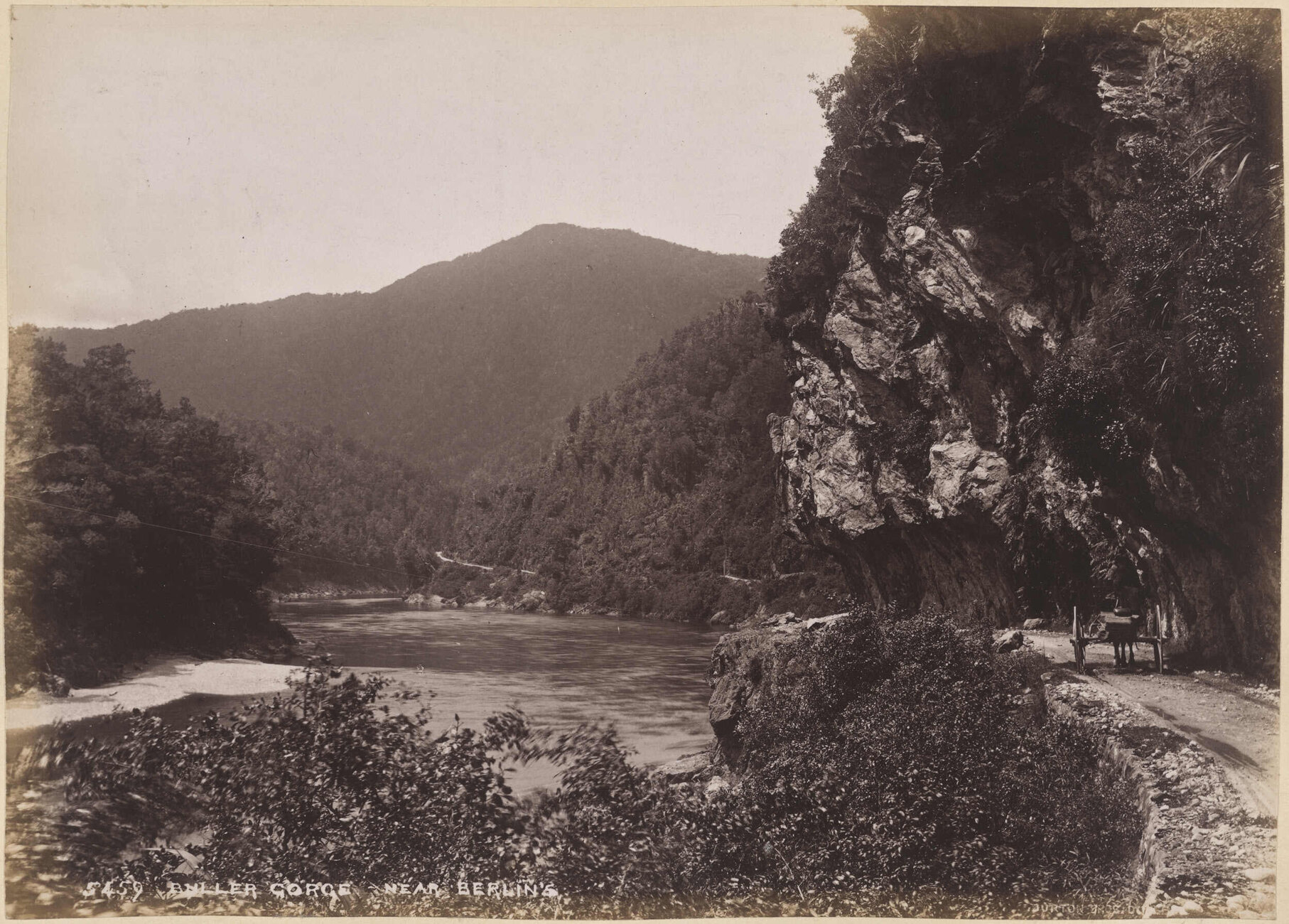 Buller Gorge, near Berlin's