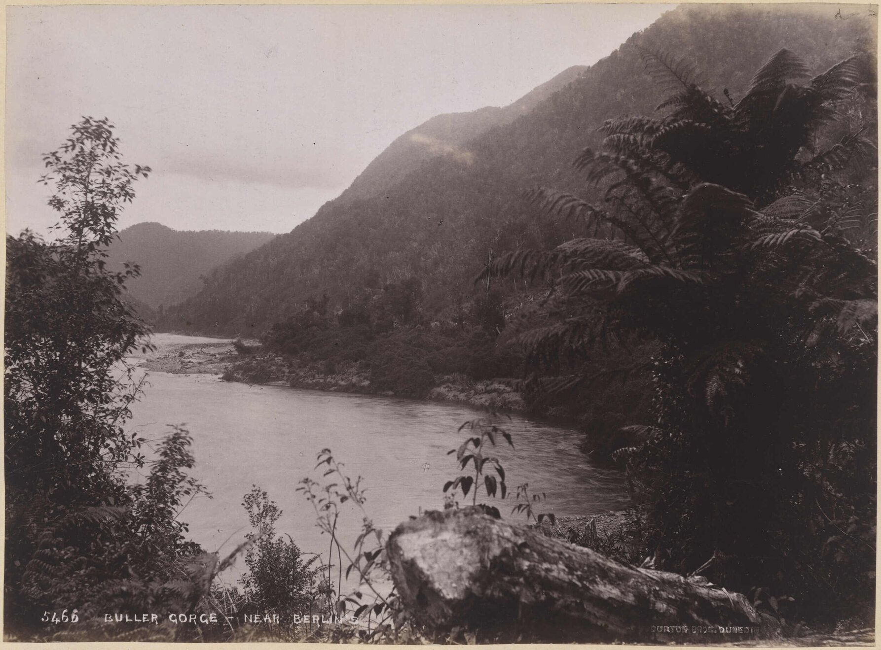 Buller Gorge, near Berlin's