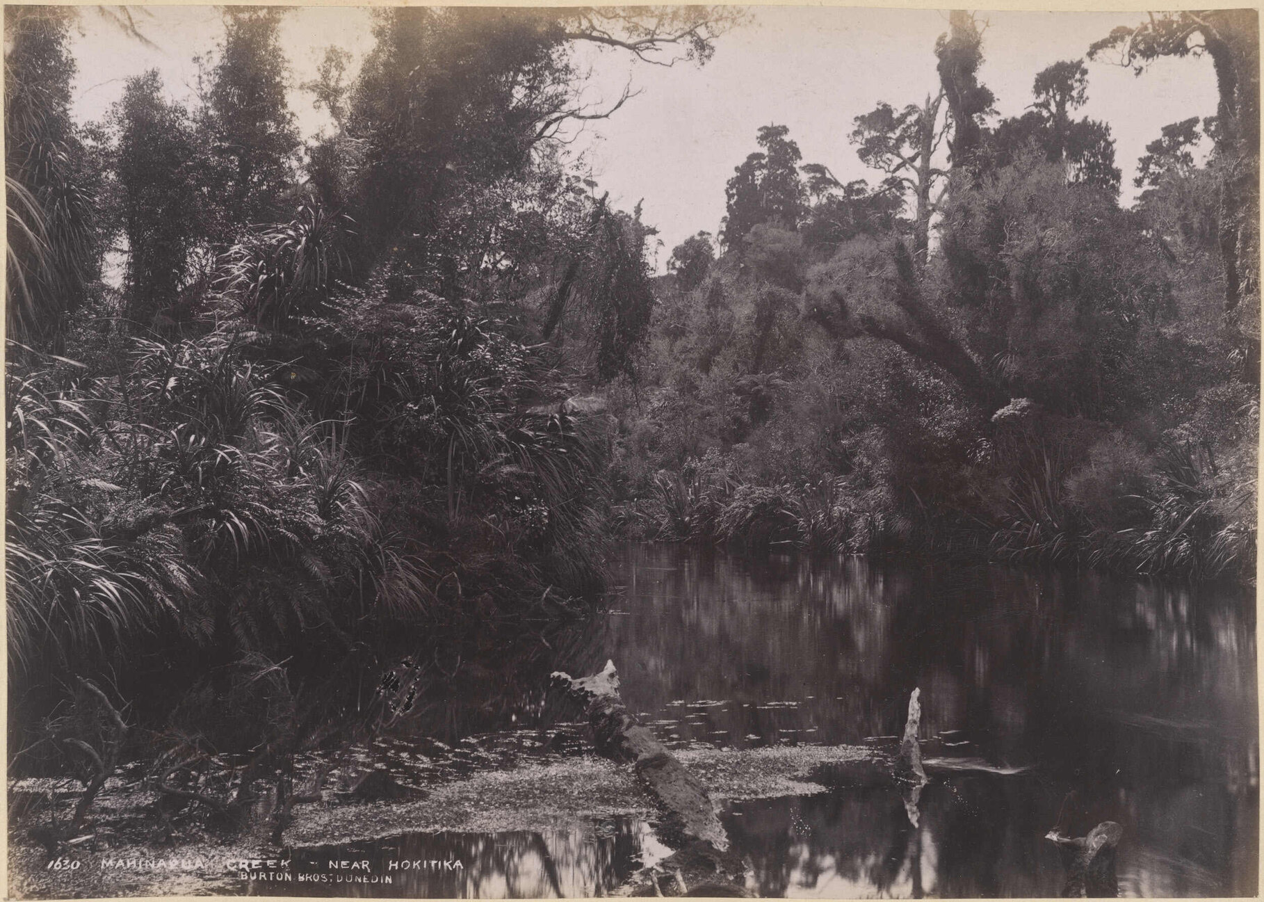 Mahinapua Creek, near Hokitika