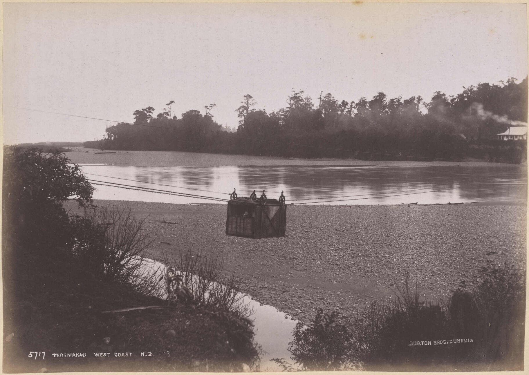 Teremakau, West Coast N.Z.