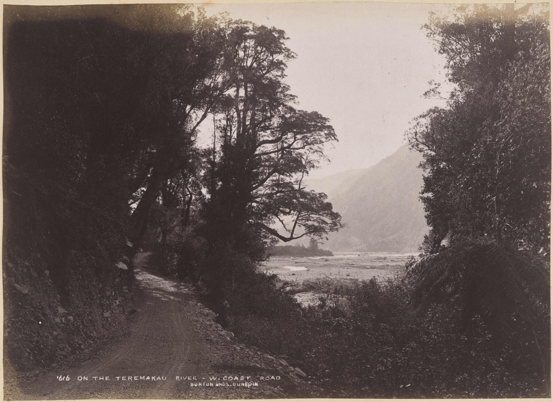 On The Teremakau River, West Coast Road