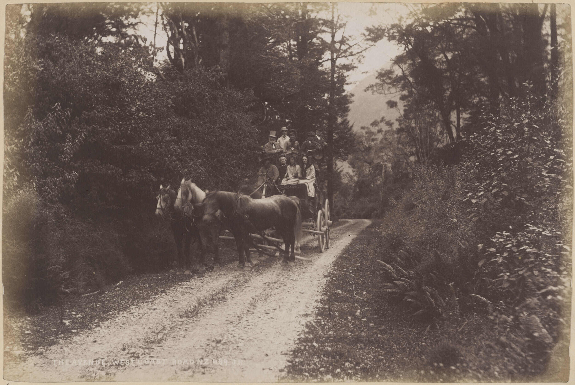 The Avenue, West Coast Road
