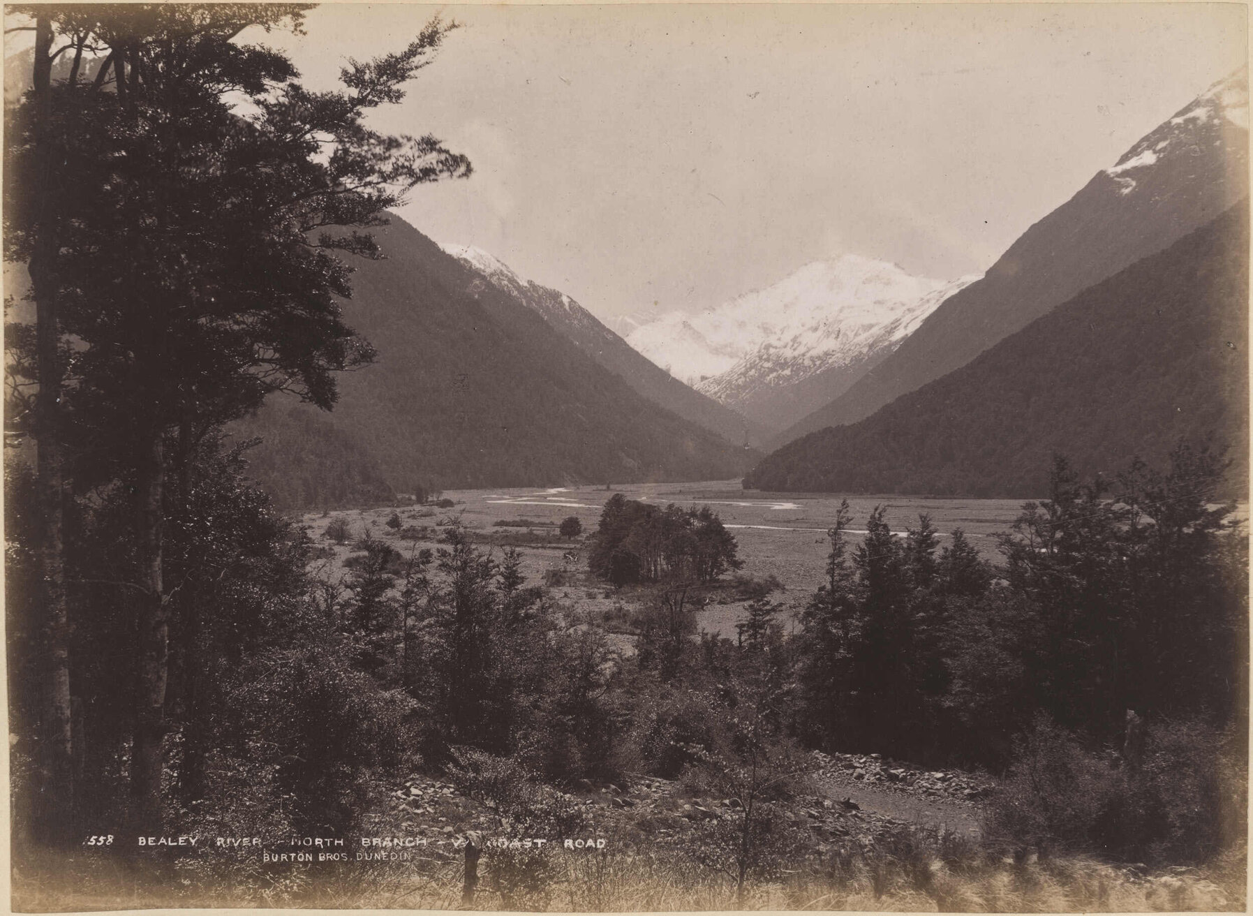 Bealey River, North Branch, West Coast Road