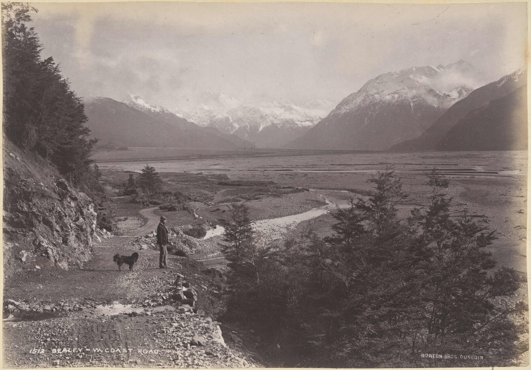 Bealey,  West Coast Road