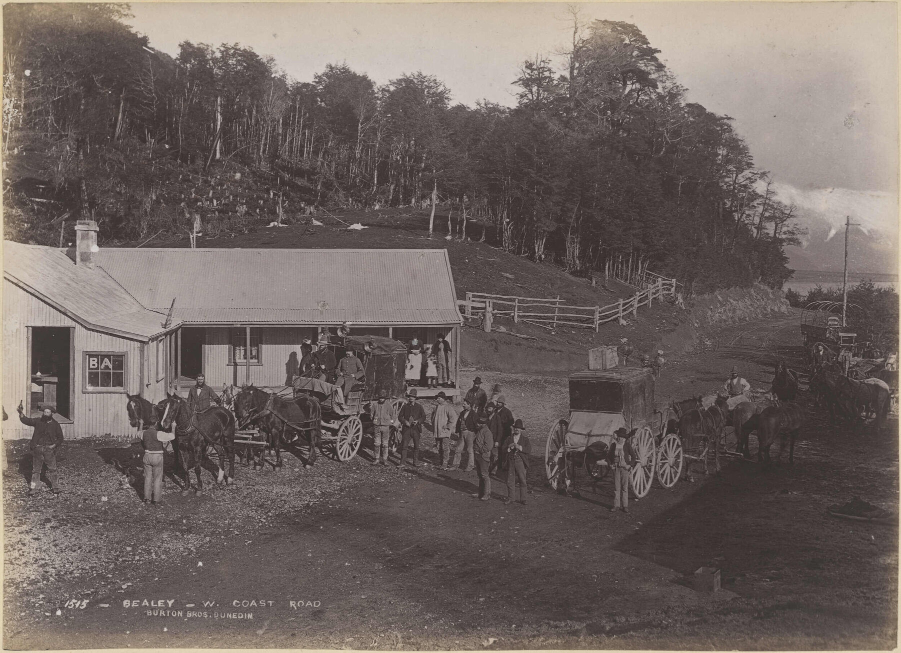 Bealey,  West Coast Road