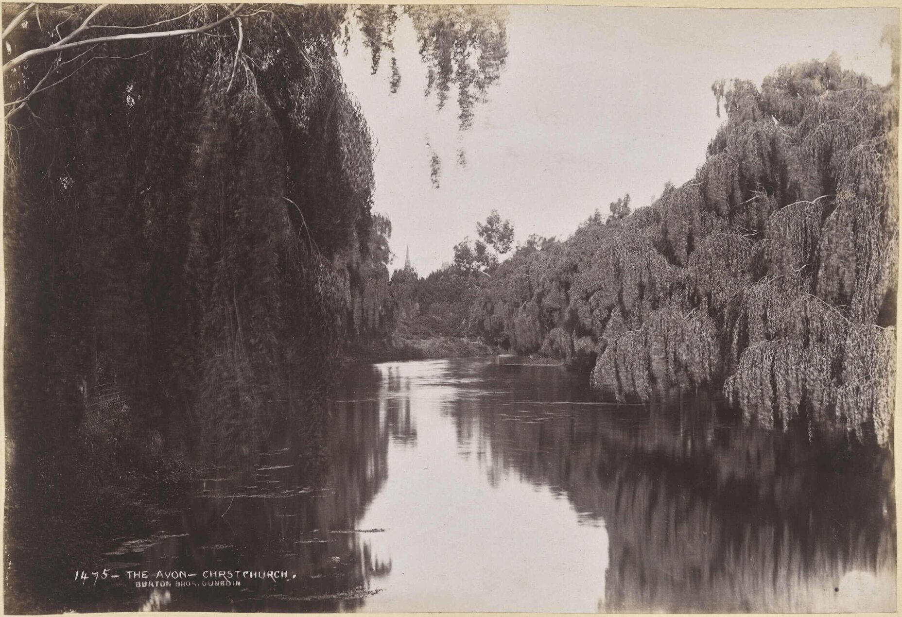 The Avon, Christchurch