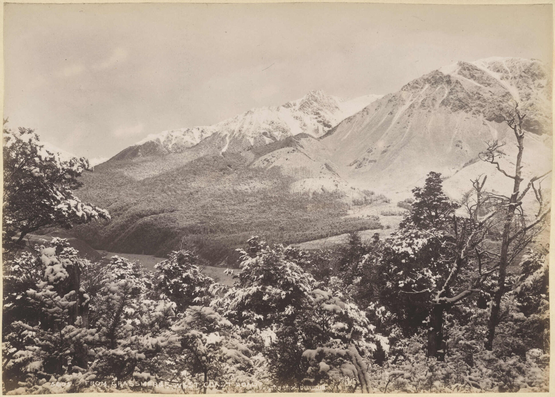 From Grasmere, West Coast Road