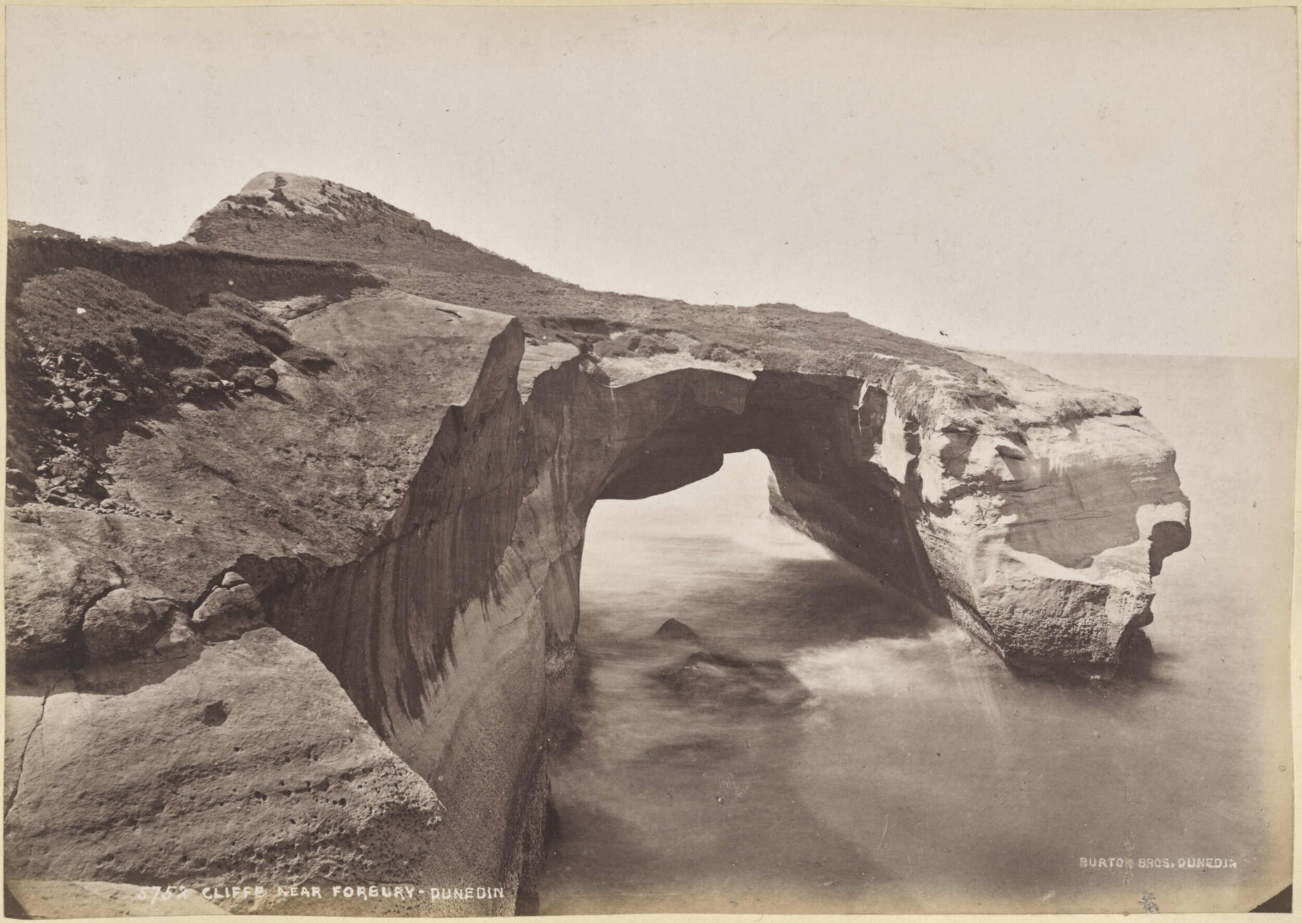 Cliffs near Forbury, Dunedin