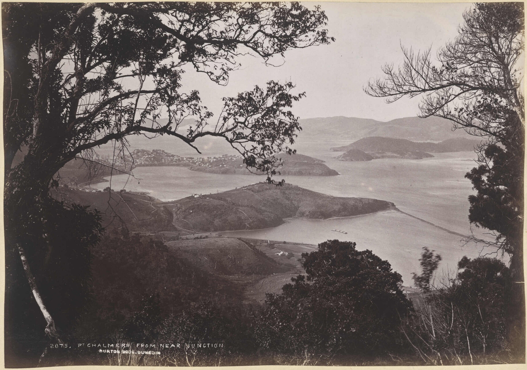 Port Chalmers from near Junction