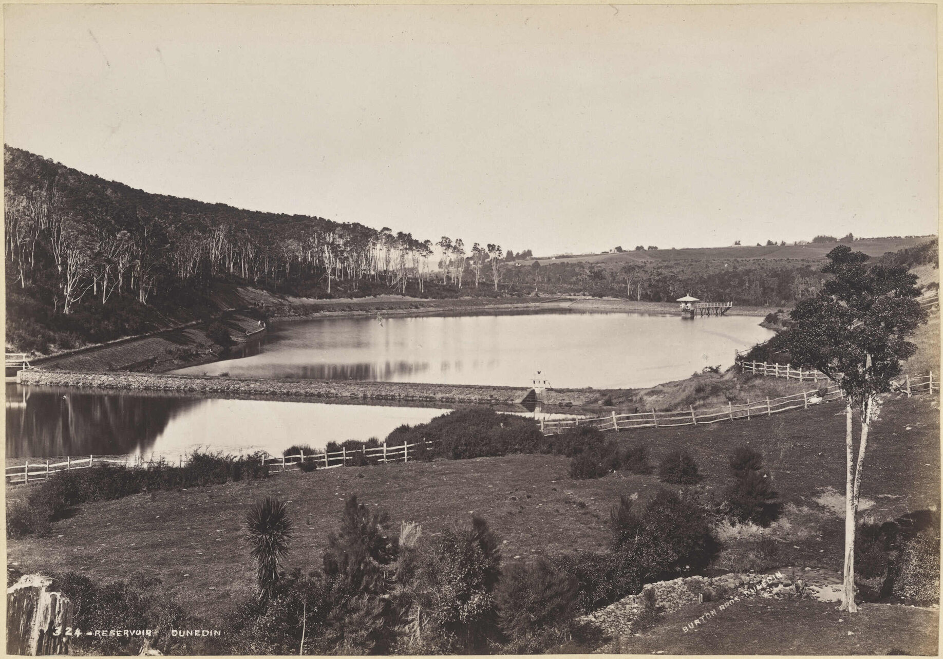 Reservoir, Dunedin