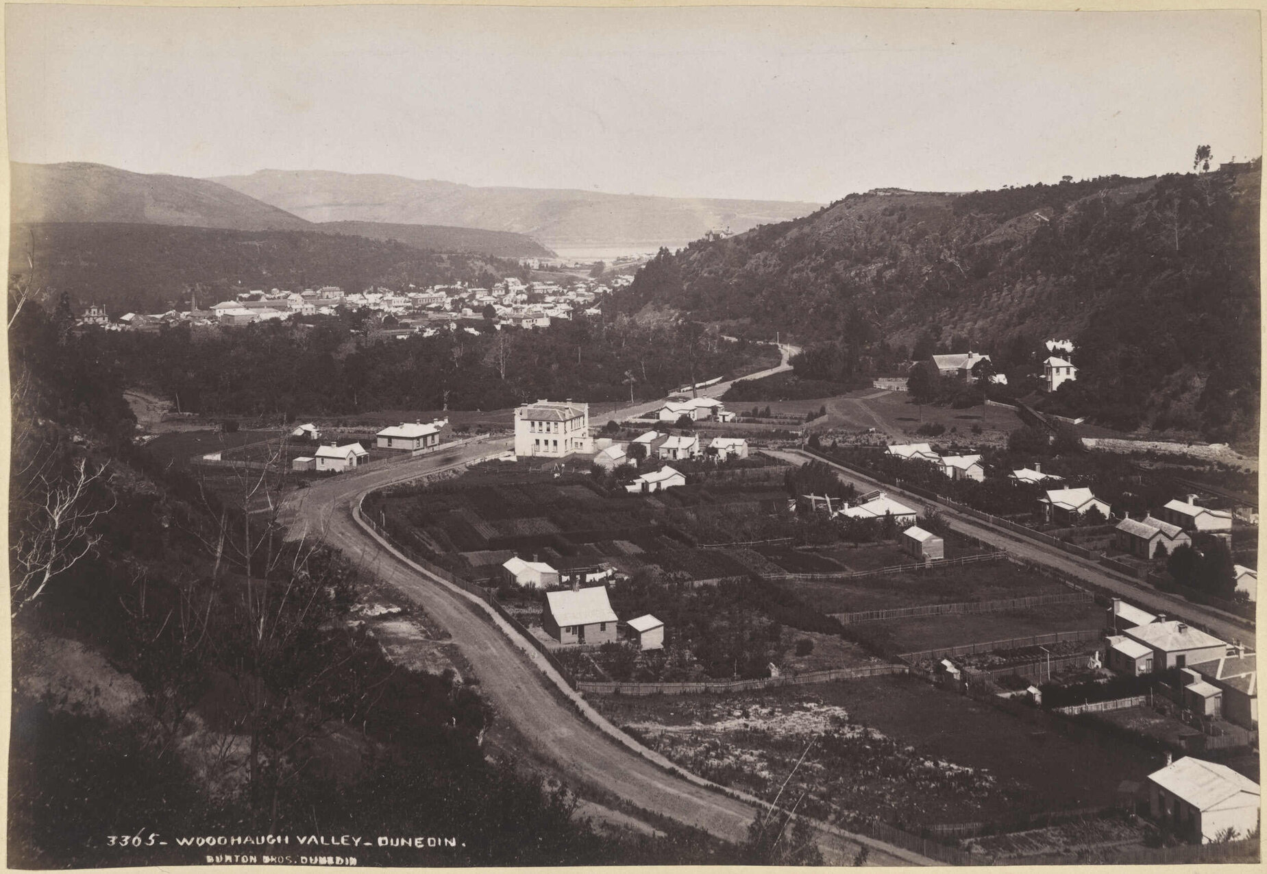 Woodhaugh Valley, Dunedin