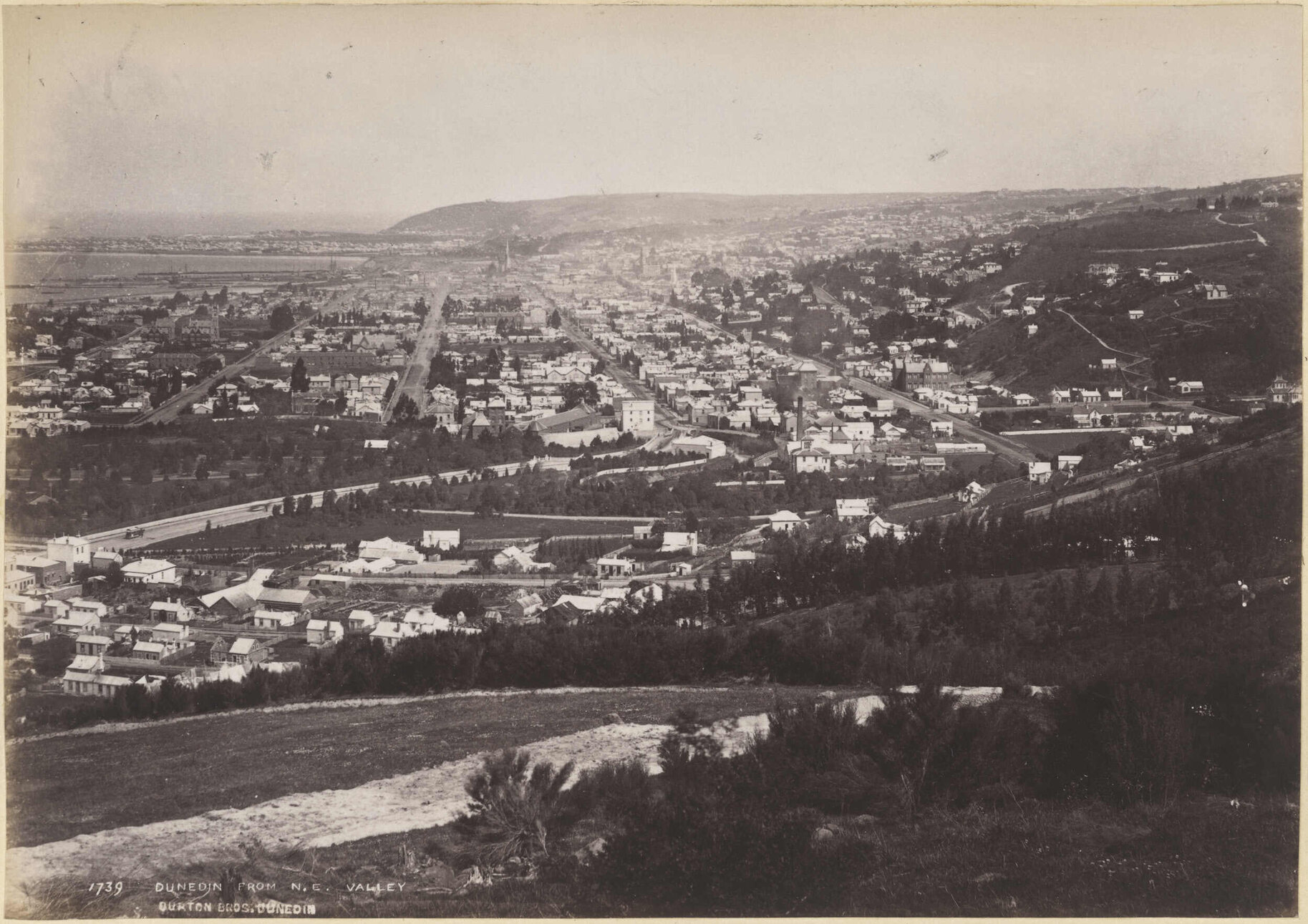 Dunedin from North East Valley