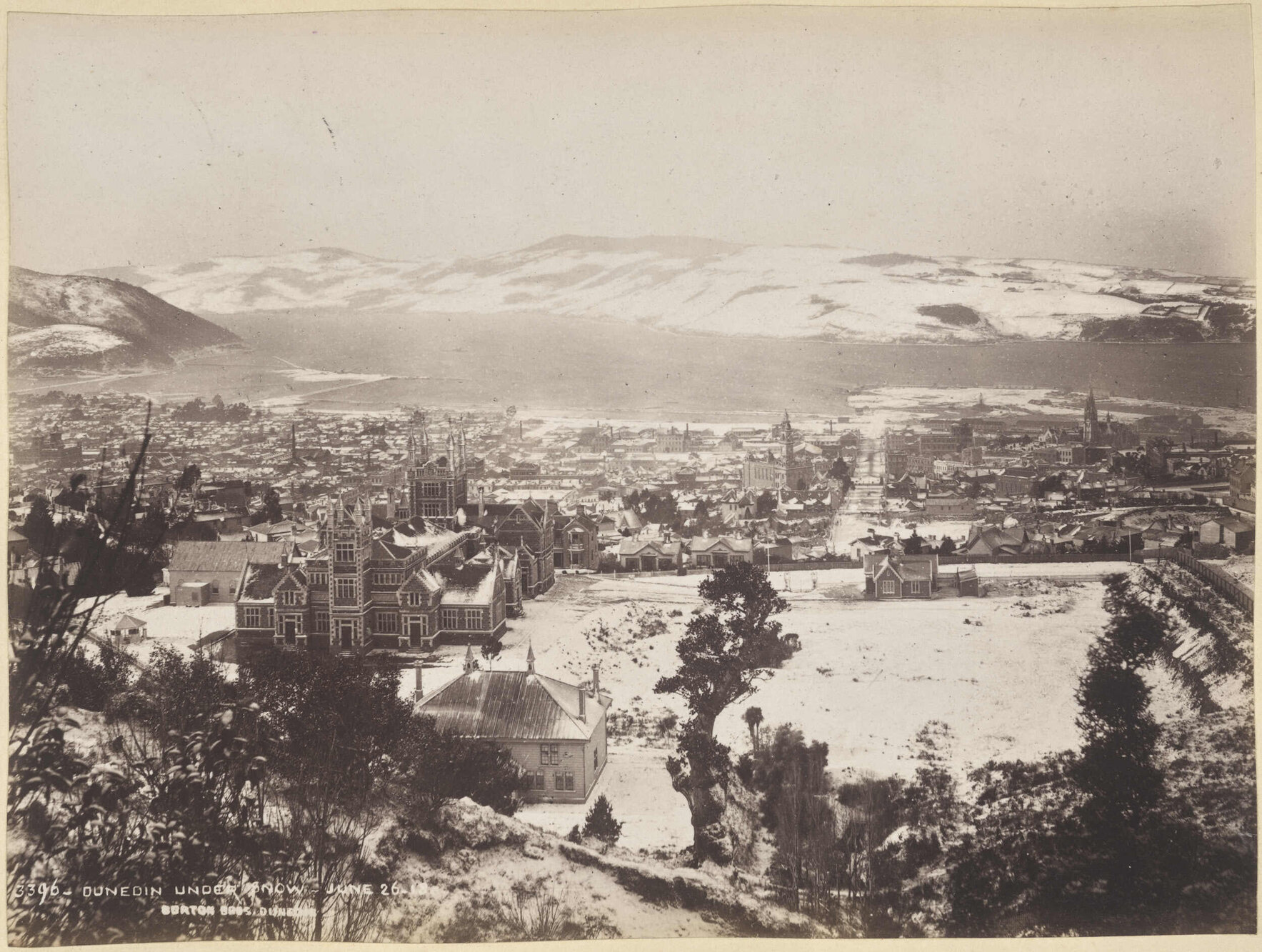 Dunedin under Snow