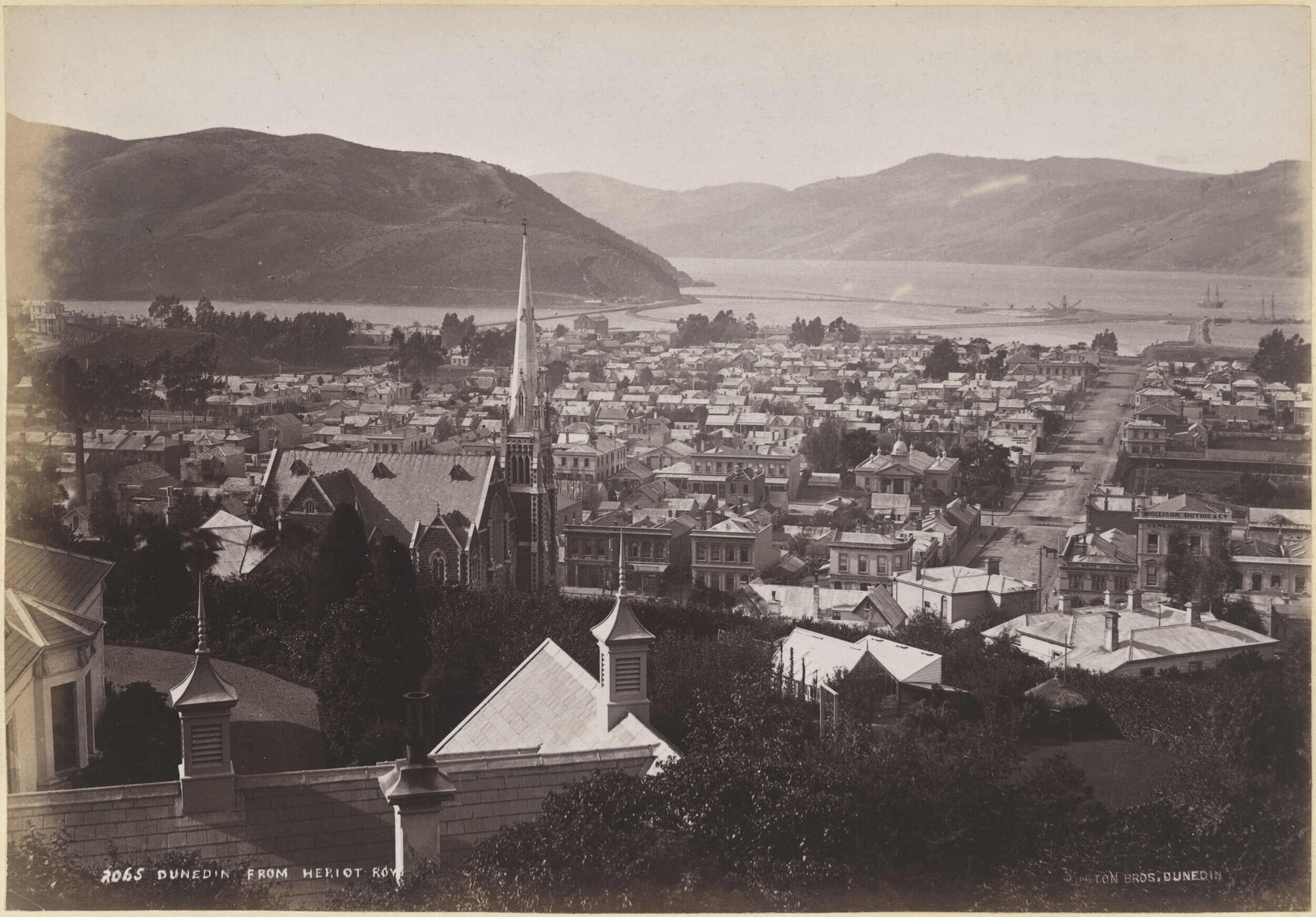Dunedin from Heriot Row