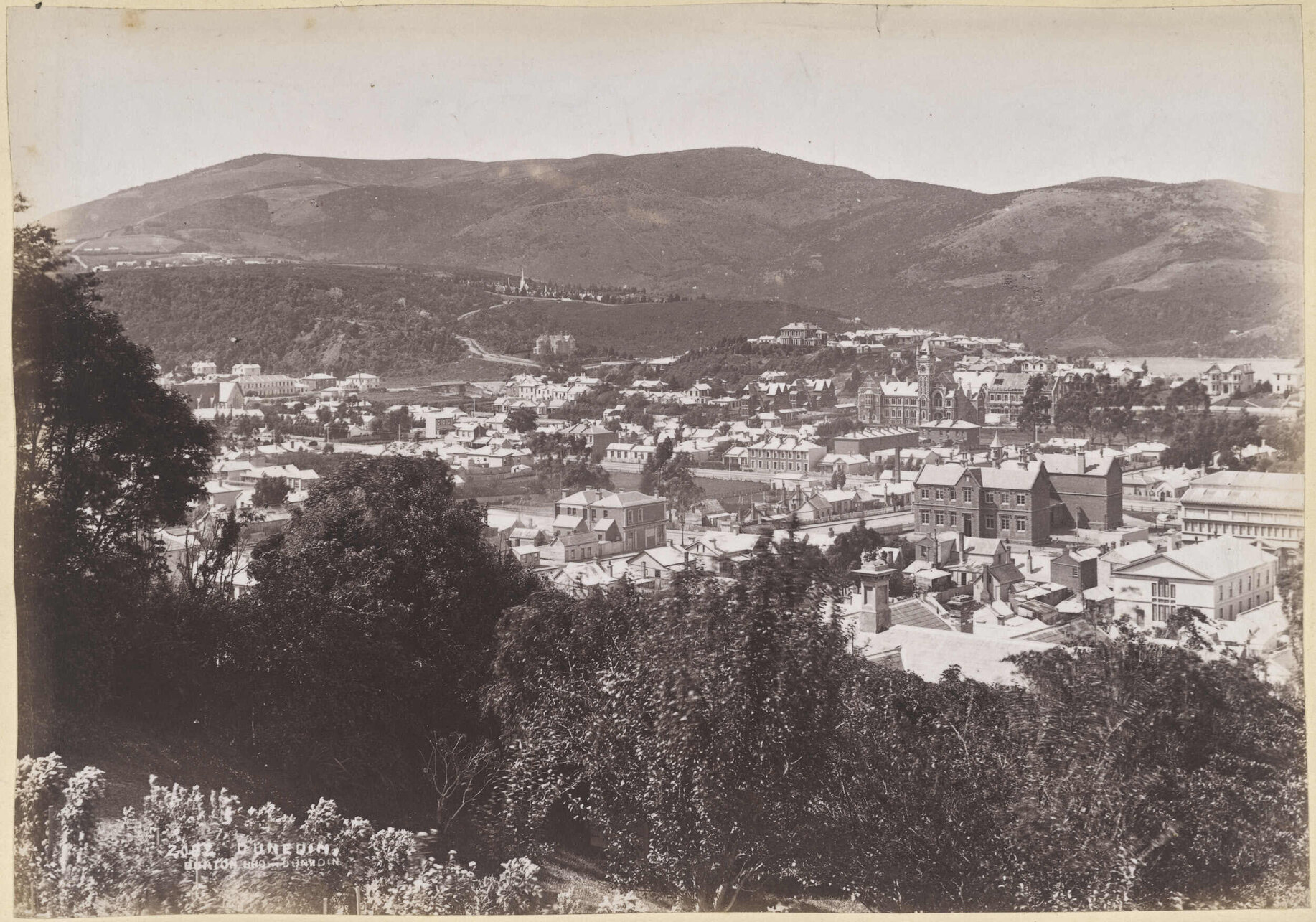 Dunedin