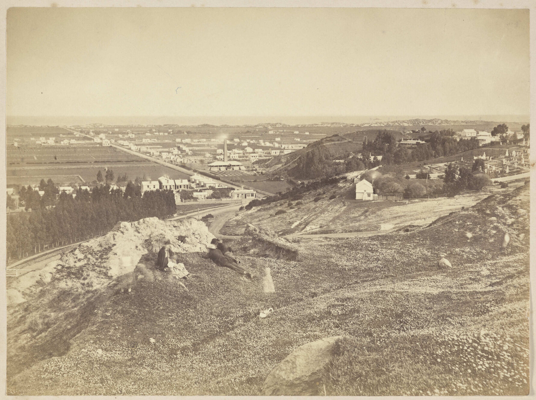 South Dunedin