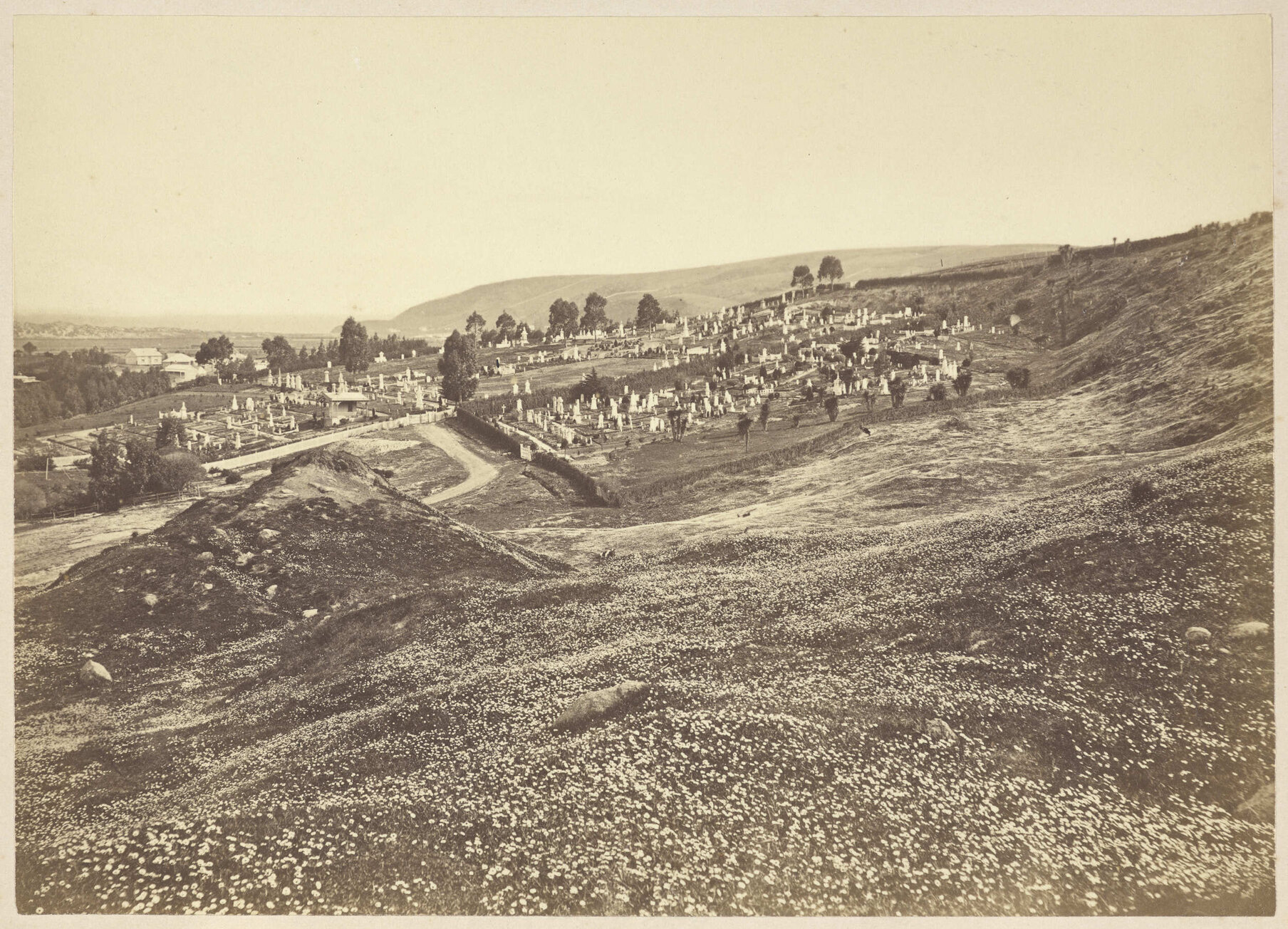 Southern Cemetery