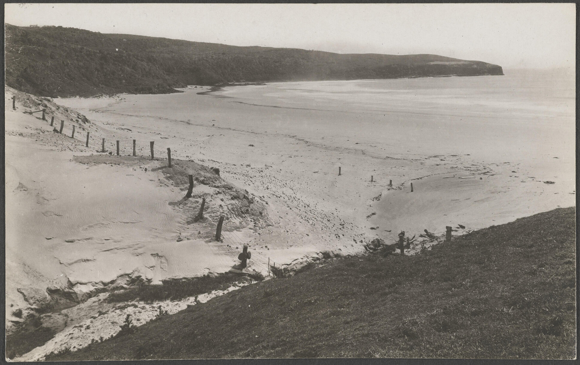 Papanui Beach, Otago Peninsula