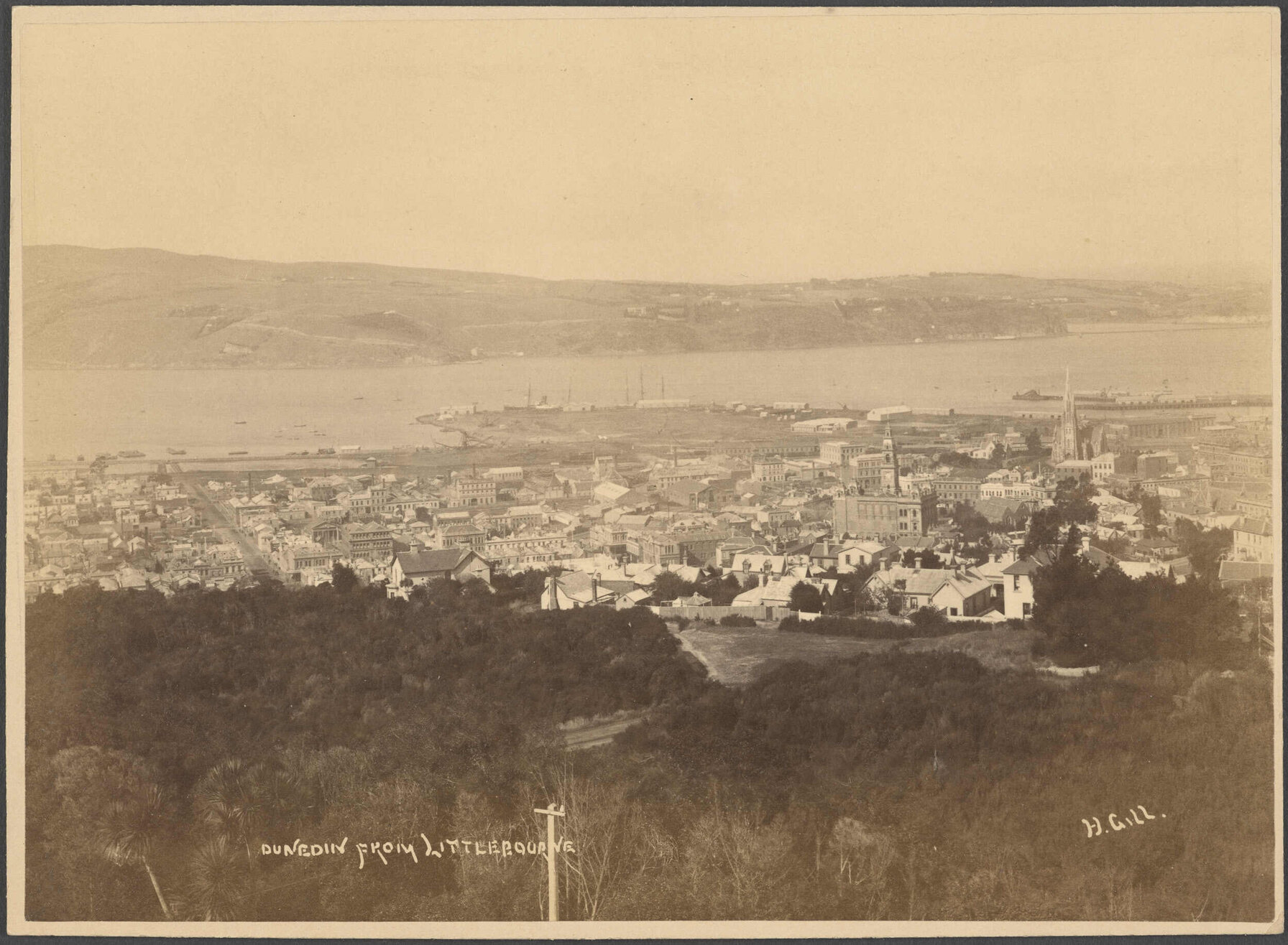 Dunedin from Littlebourne