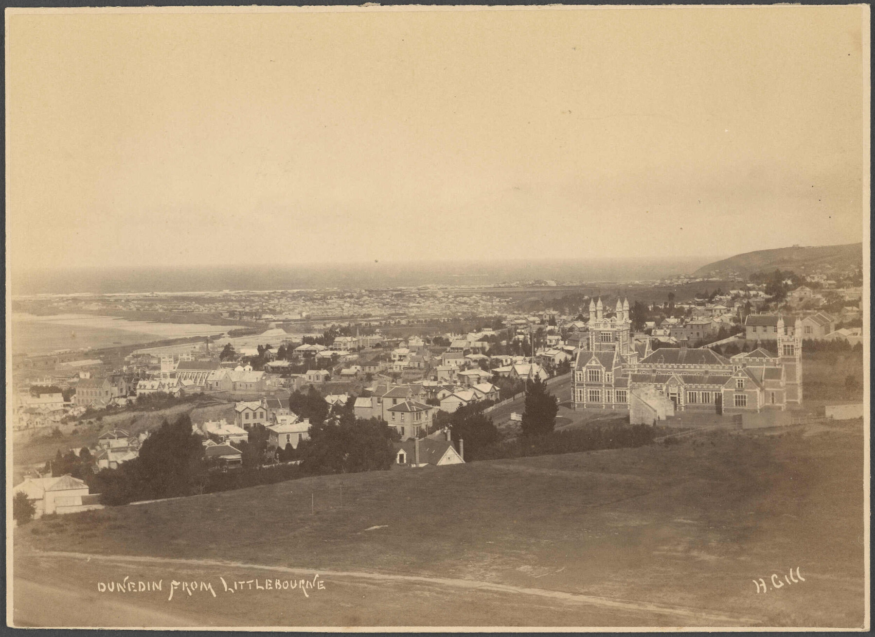 Dunedin from Littlebourne
