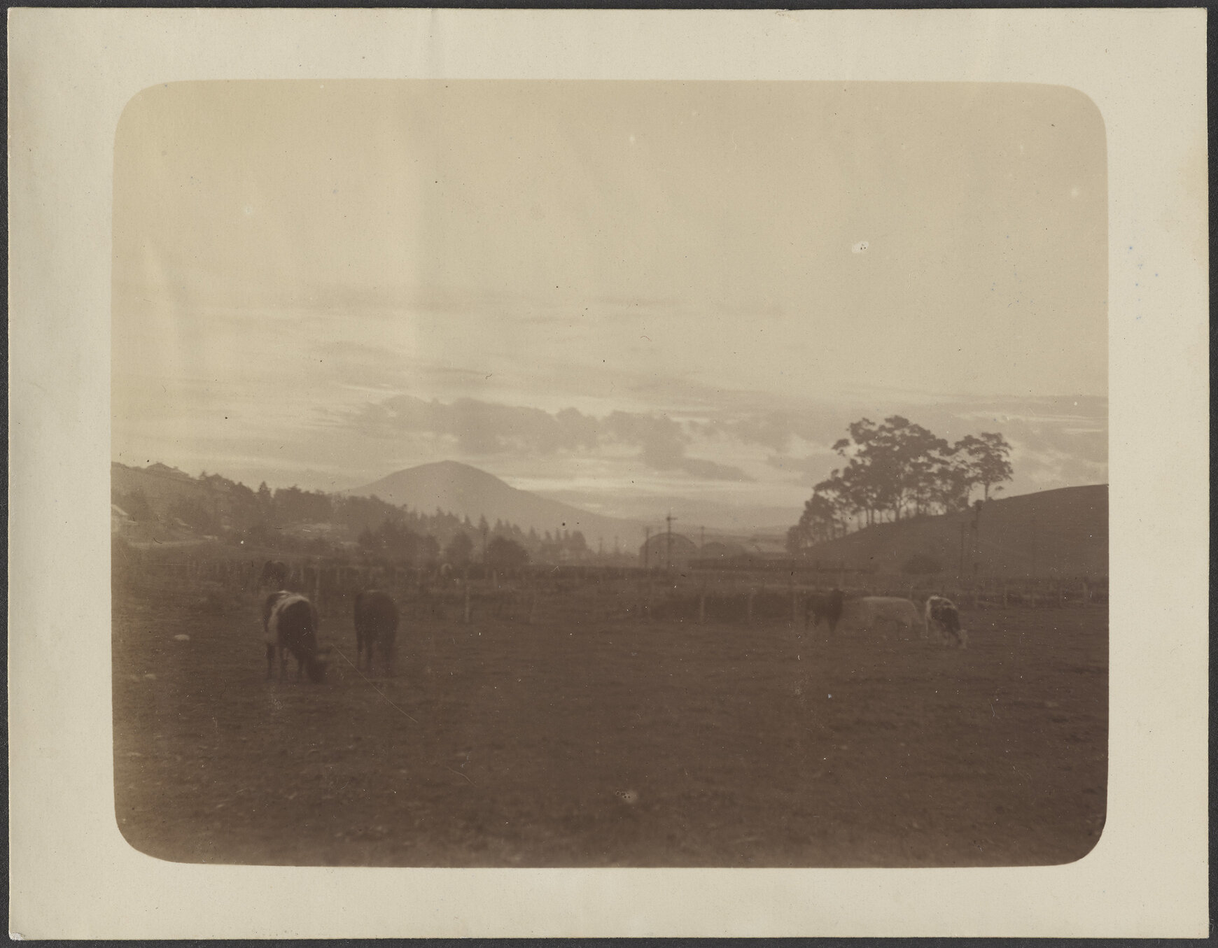 Pastoral scene