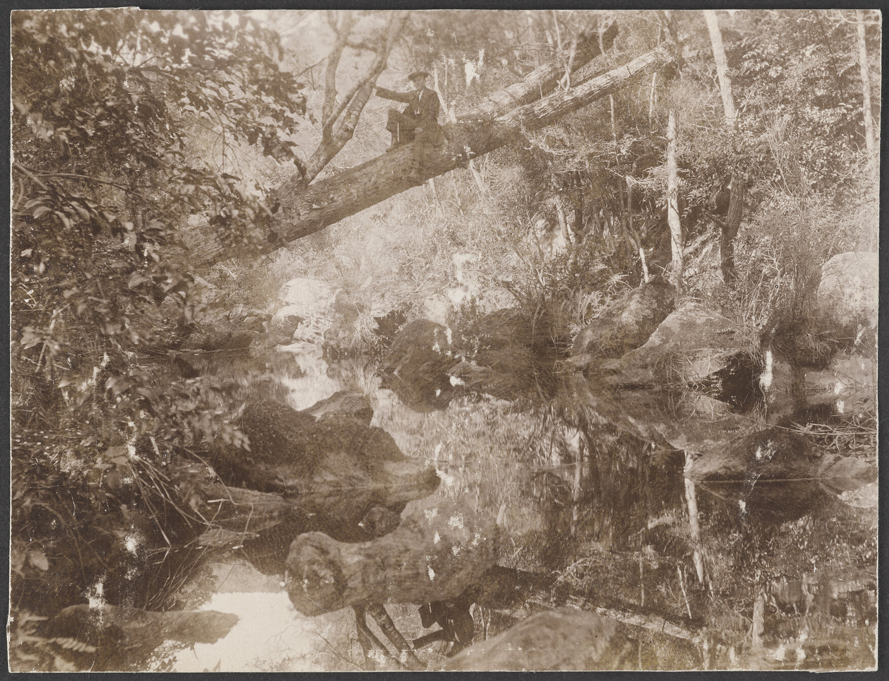 Whare Creek