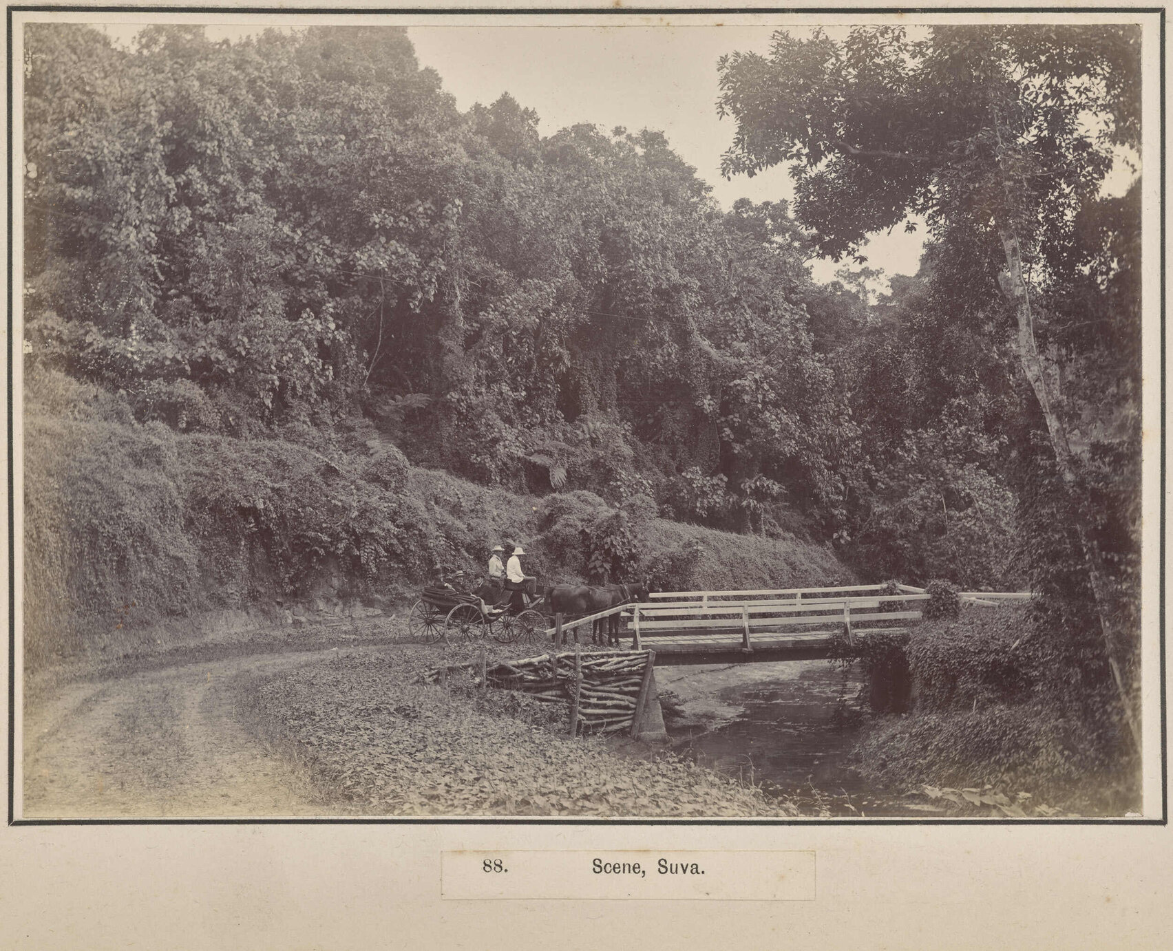 Scene, Suva