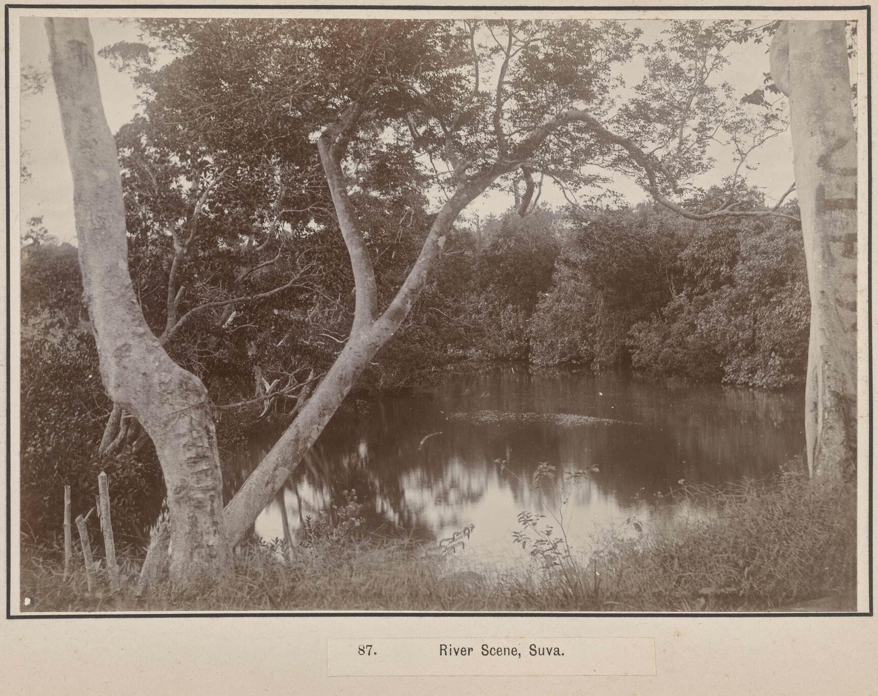 River Scene, Suva