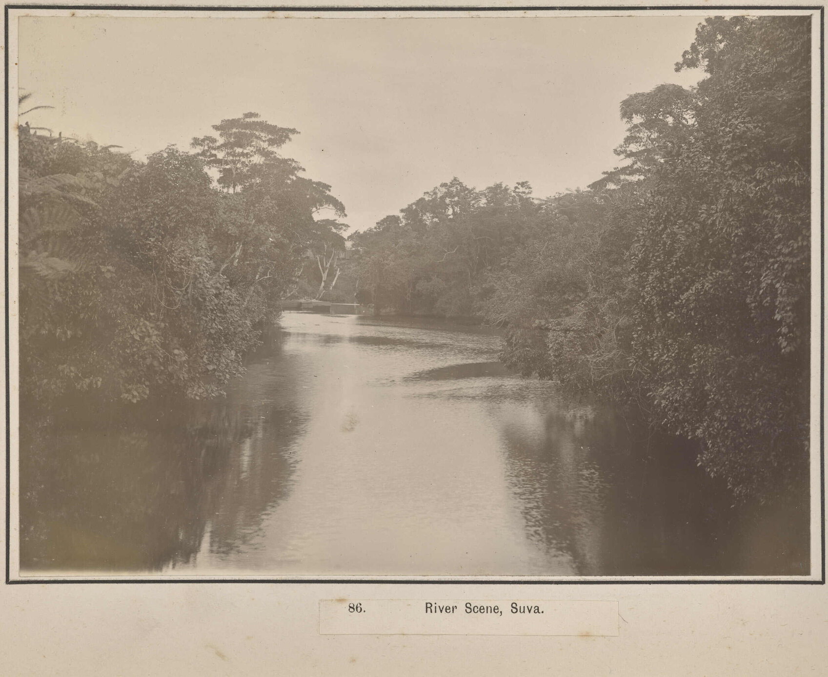 River Scene, Suva