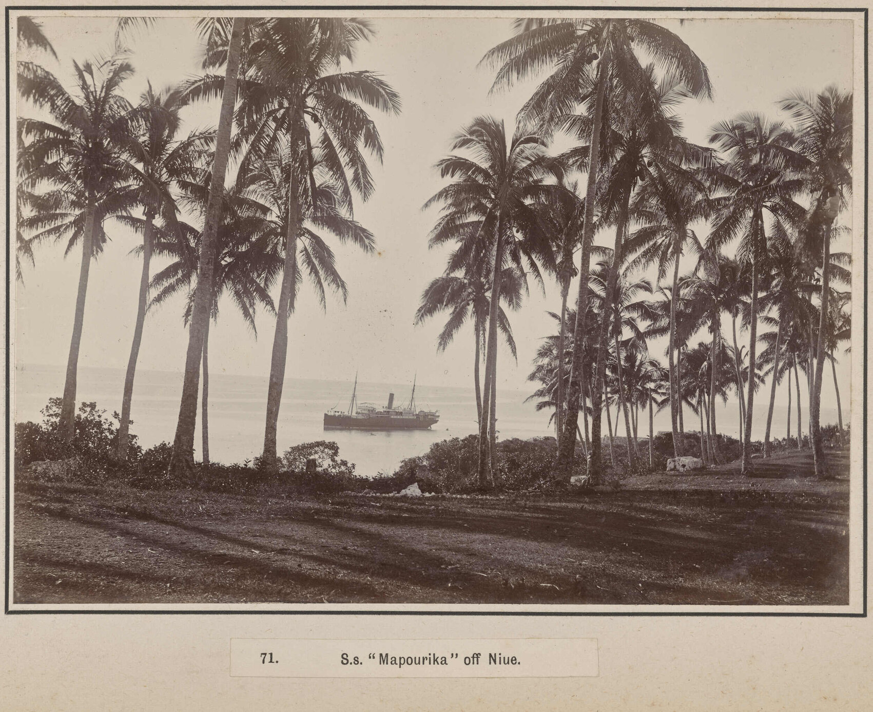 S.S. 'Mapourika' off Niue