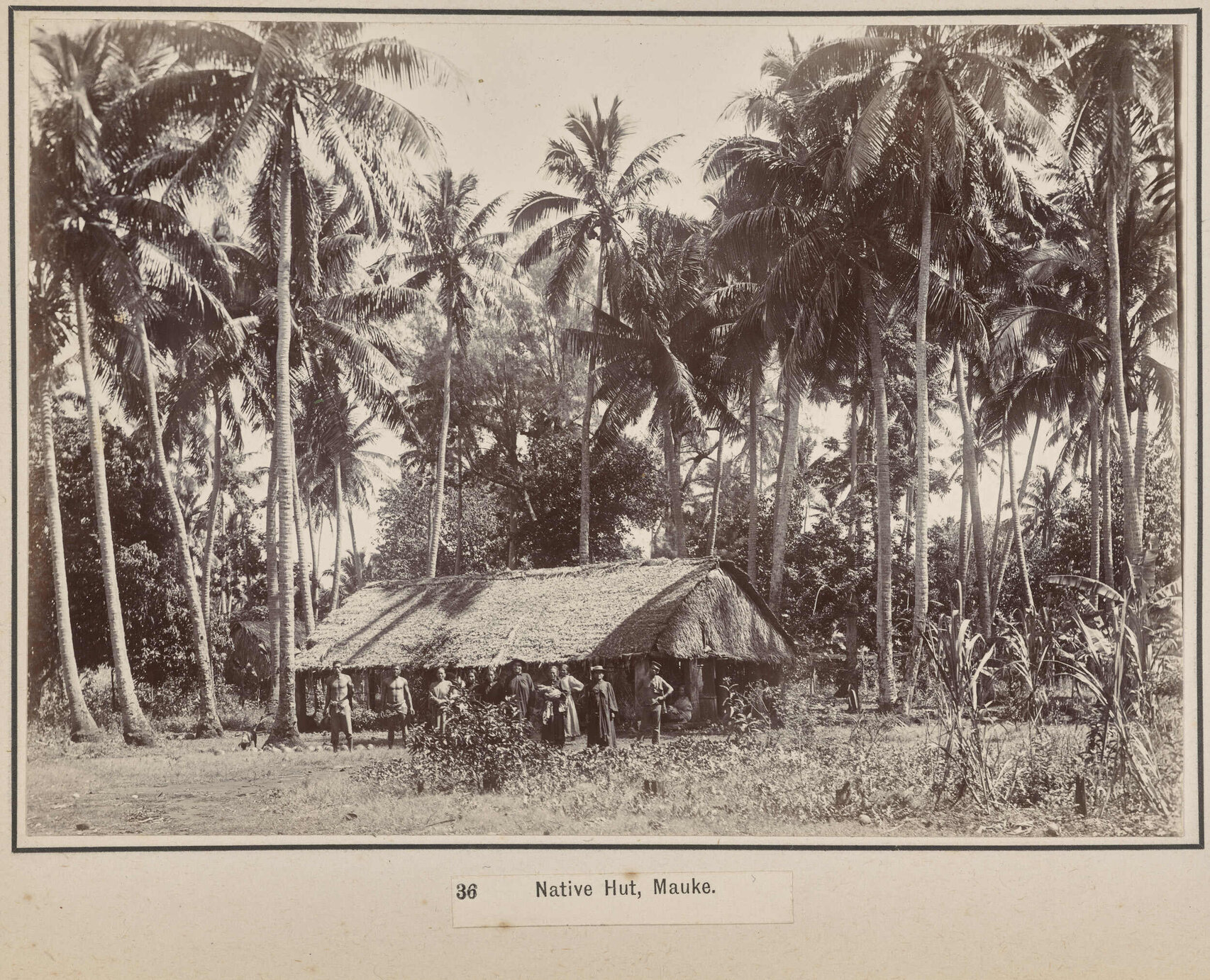 Native Hut, Mauke