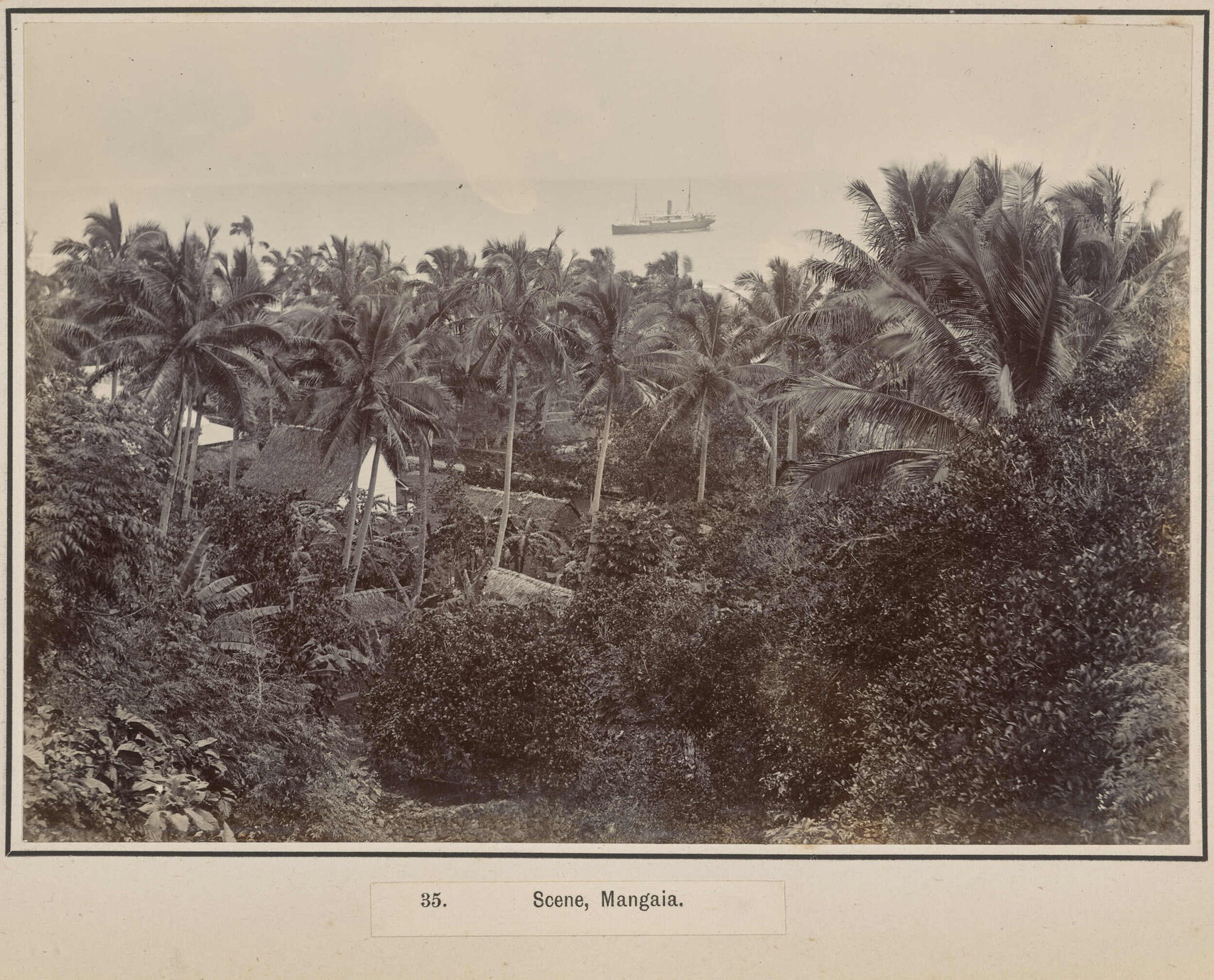 Scene, Mangaia