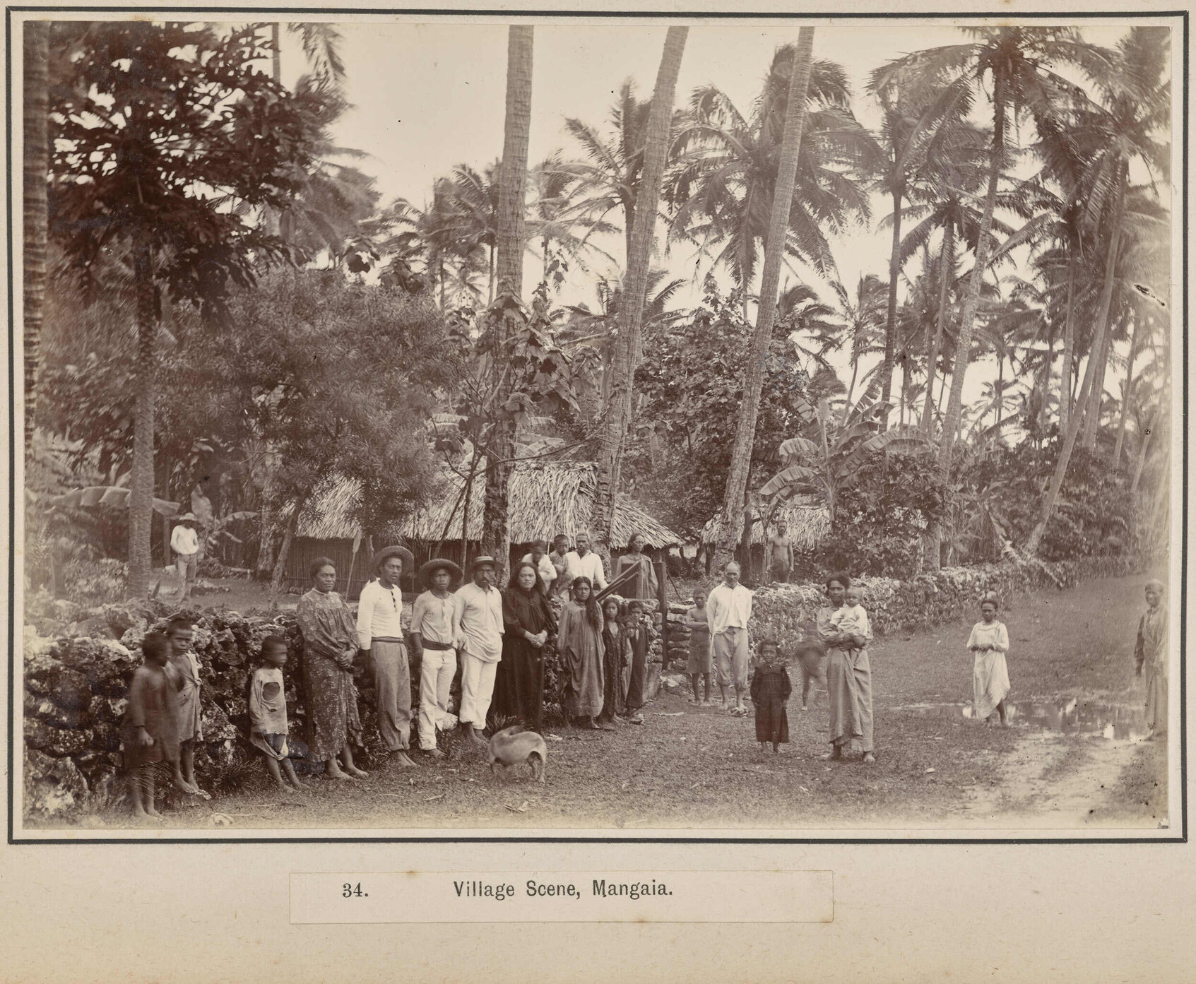 Village Scene, Mangaia