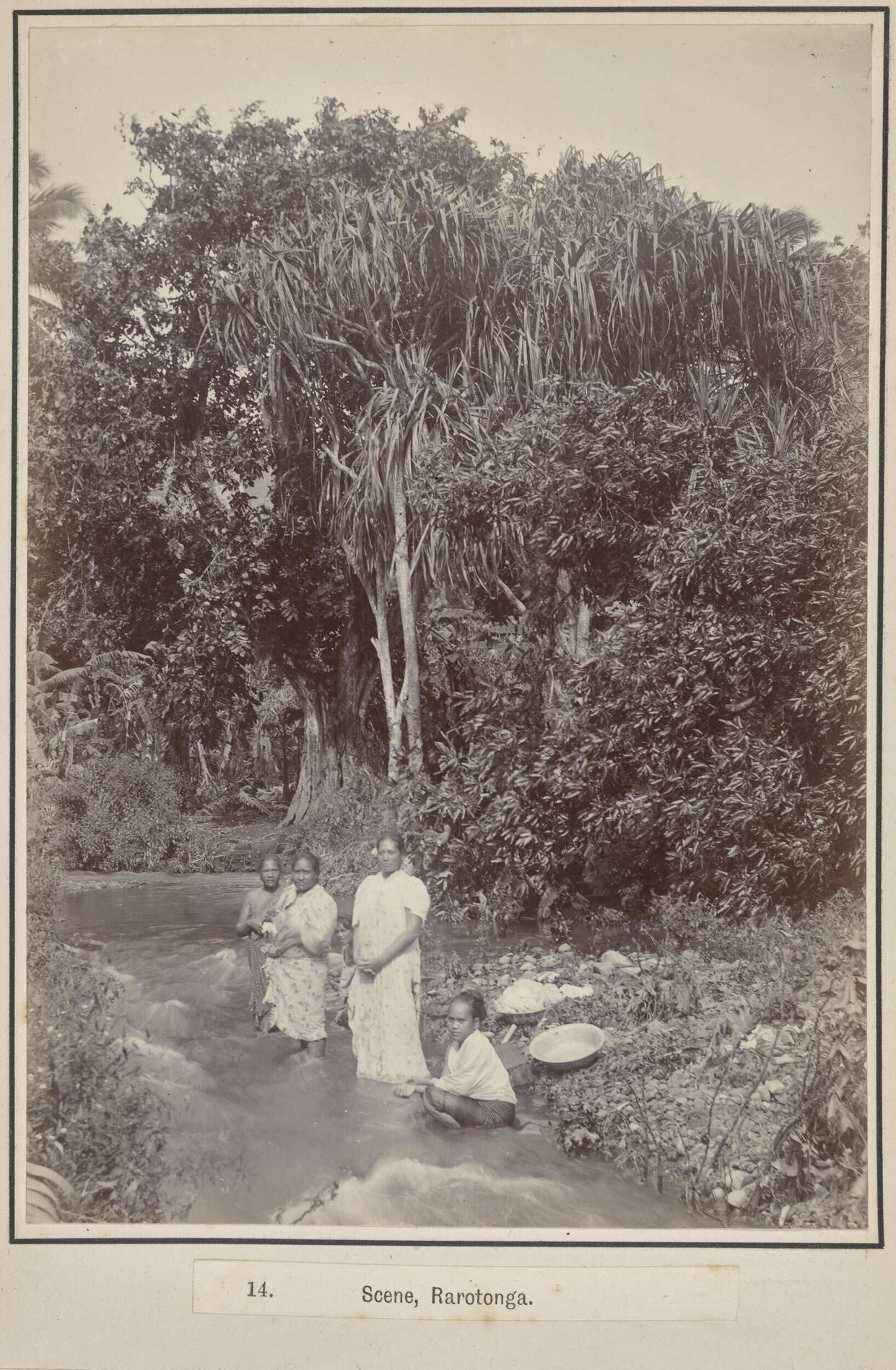 Scene, Rarotonga
