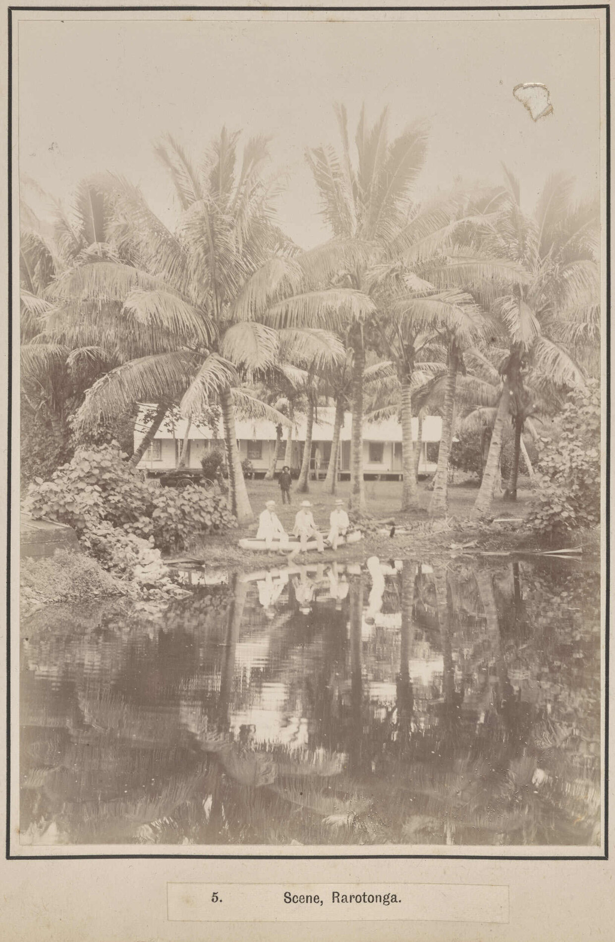 Scene, Rarotonga