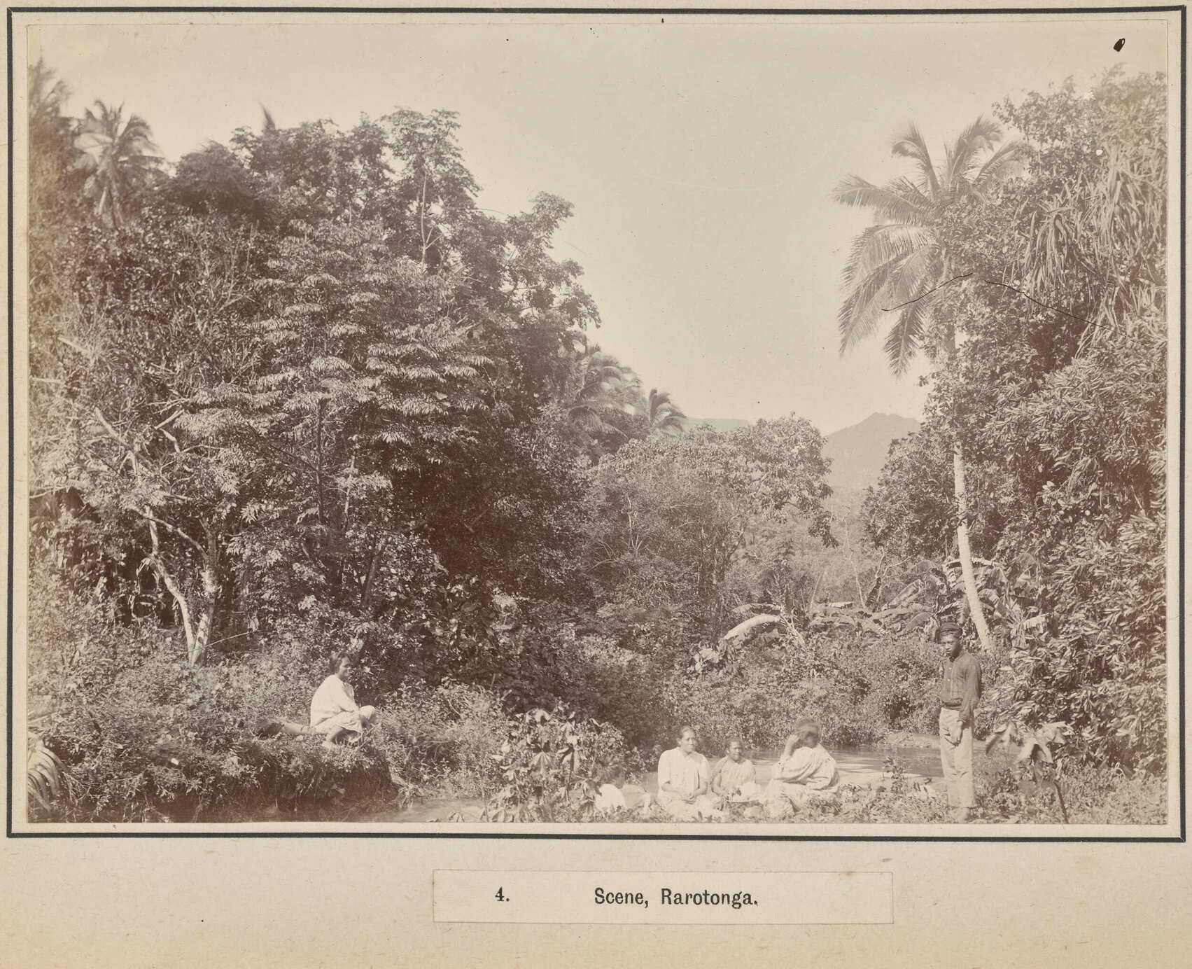 Scene, Rarotonga
