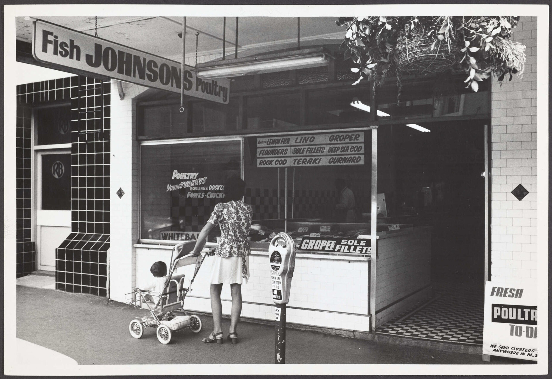 Johnsons Fish Supply, 366 George Street, Dunedin