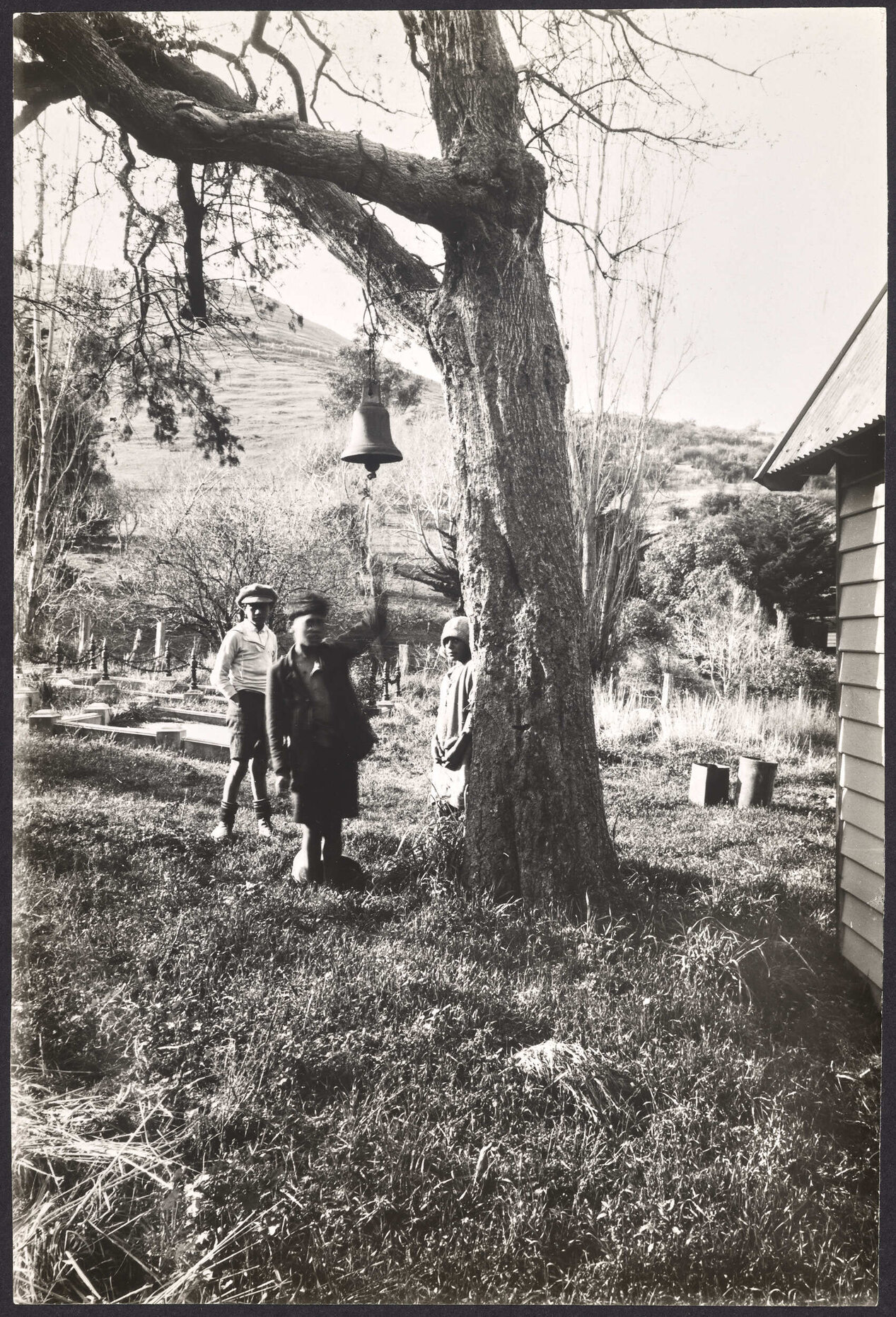 The Church Bell on the Old Ribbonwood Tree, Rapaki, Port Cooper